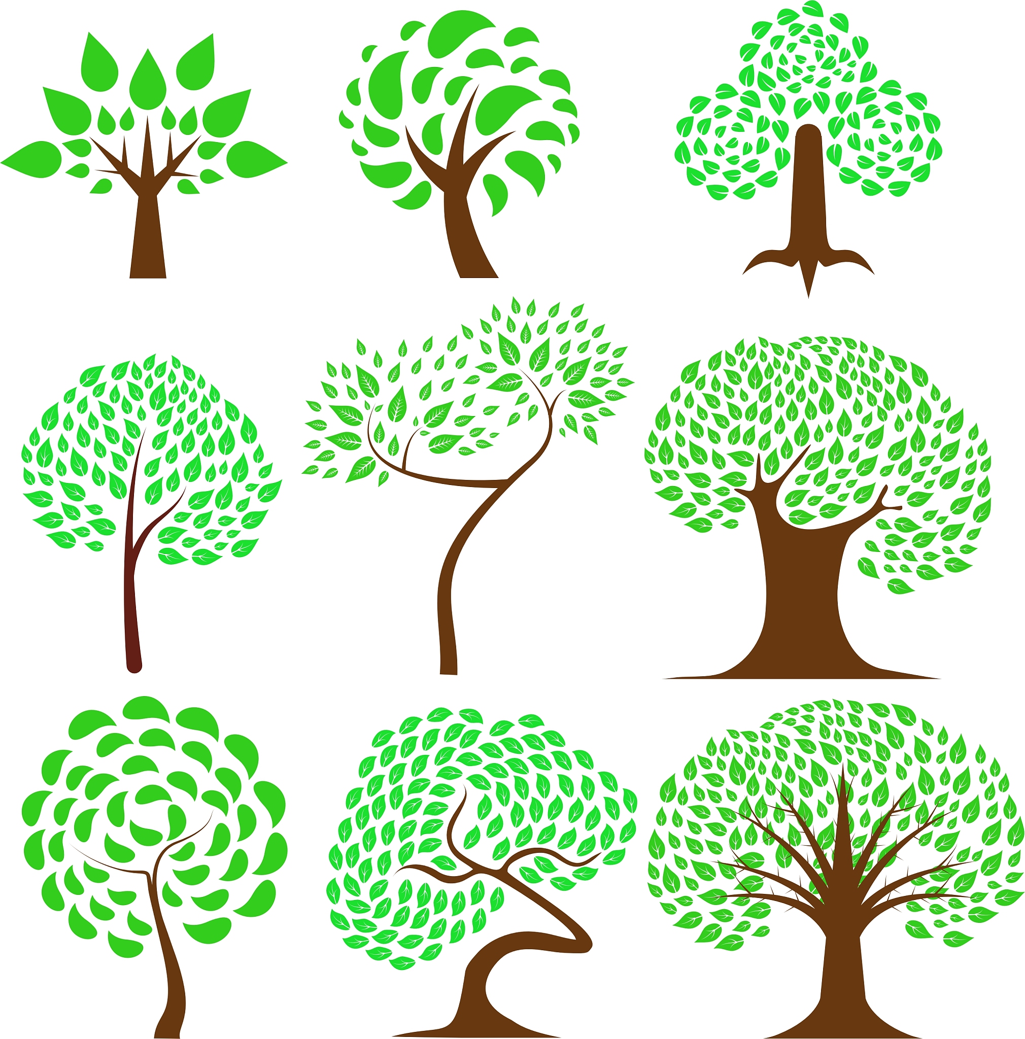 tree 1