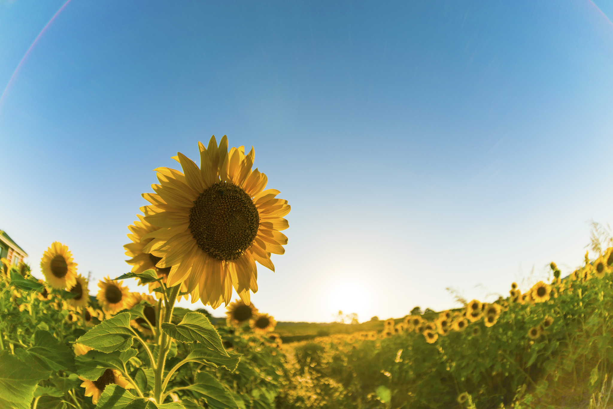 如何成为一个积极向上的人：10个提升正能量的习惯和方法