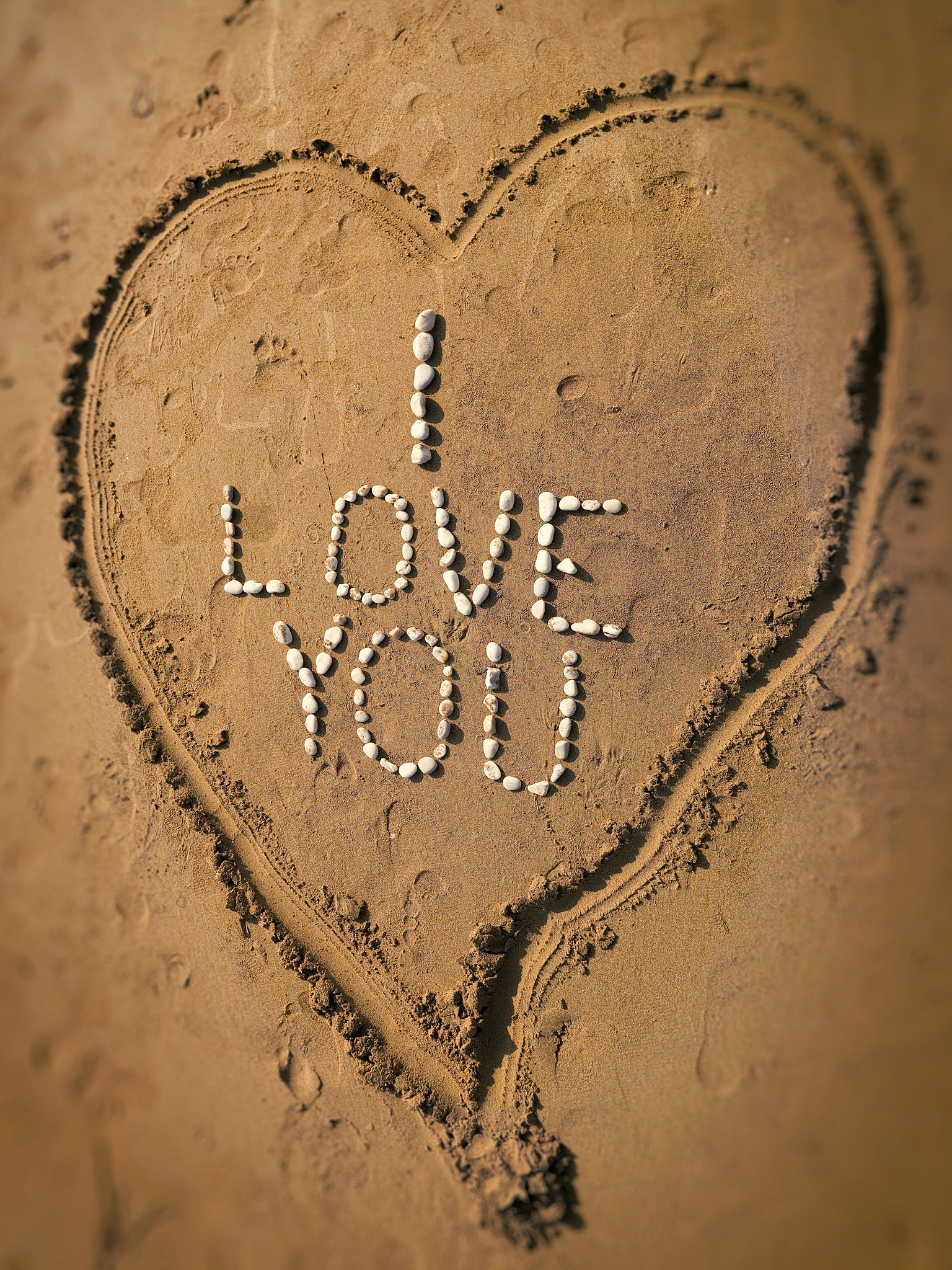 我爱你，祖国：中华文化的魅力、壮丽的自然风光与强大的经济实力