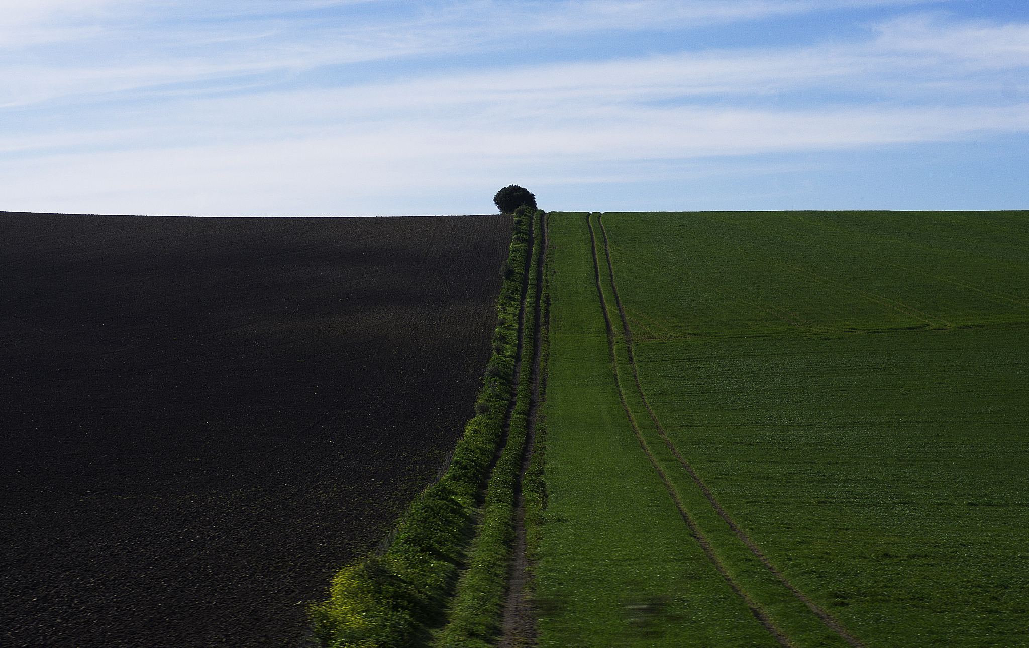 使用文化博主的口吻写篇1000字生活不止眼前的苟且还有诗和远方的田野。的文章要有和读者互动语句带标题