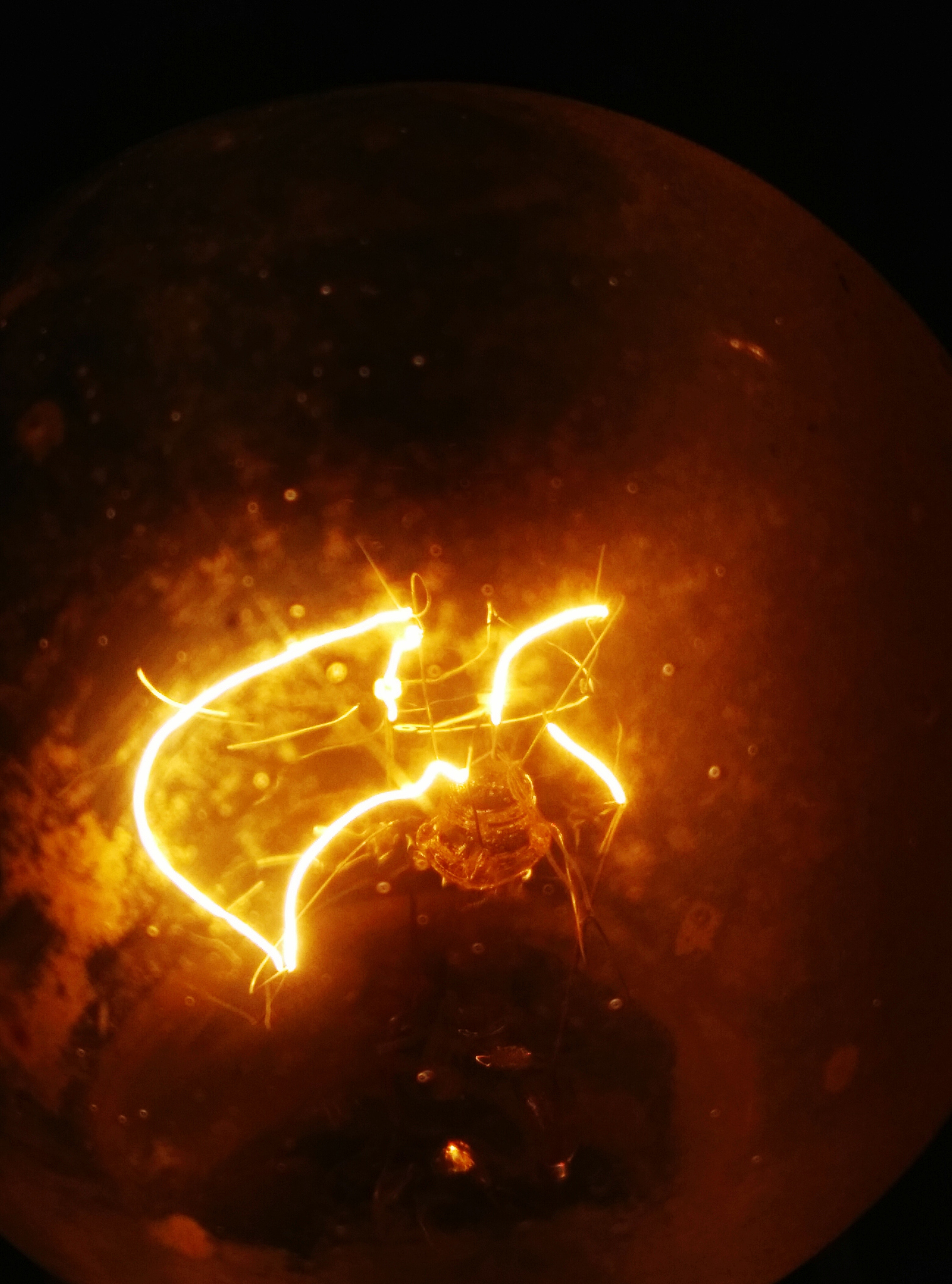 close-up of illuminated light bulb in darkroom