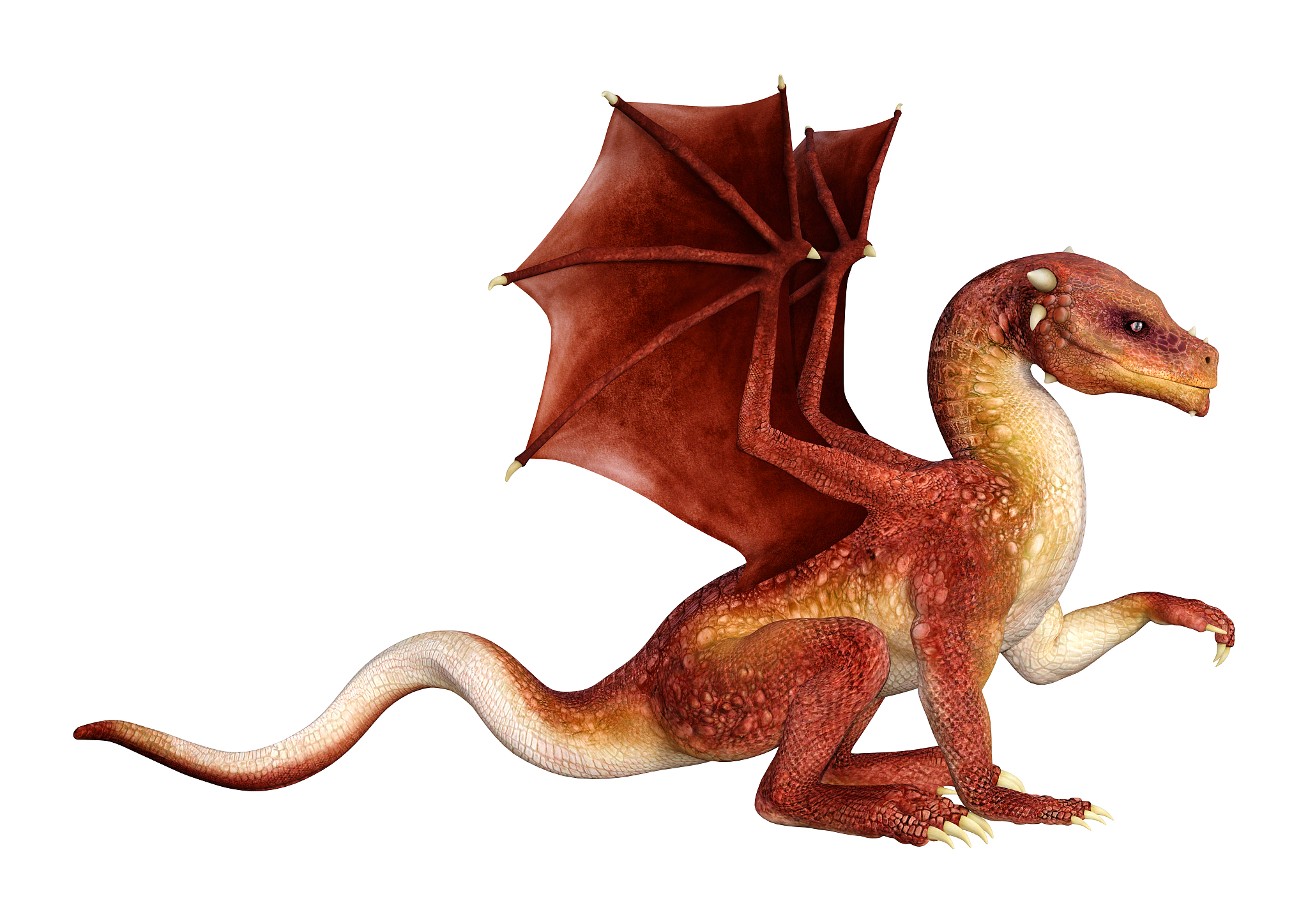 3d illustration fantasy dragon on white