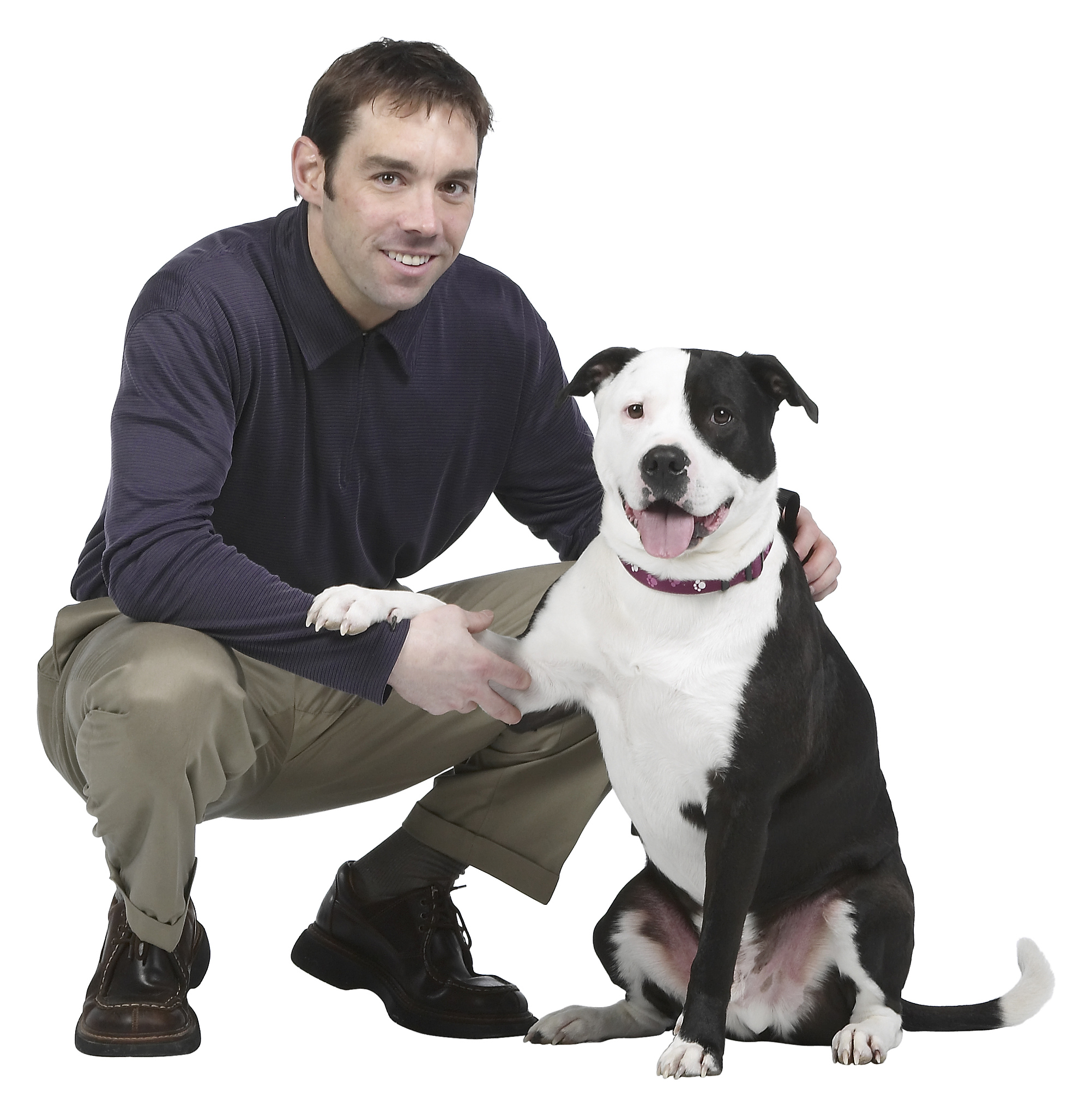 宠物行为调整APP产品概述