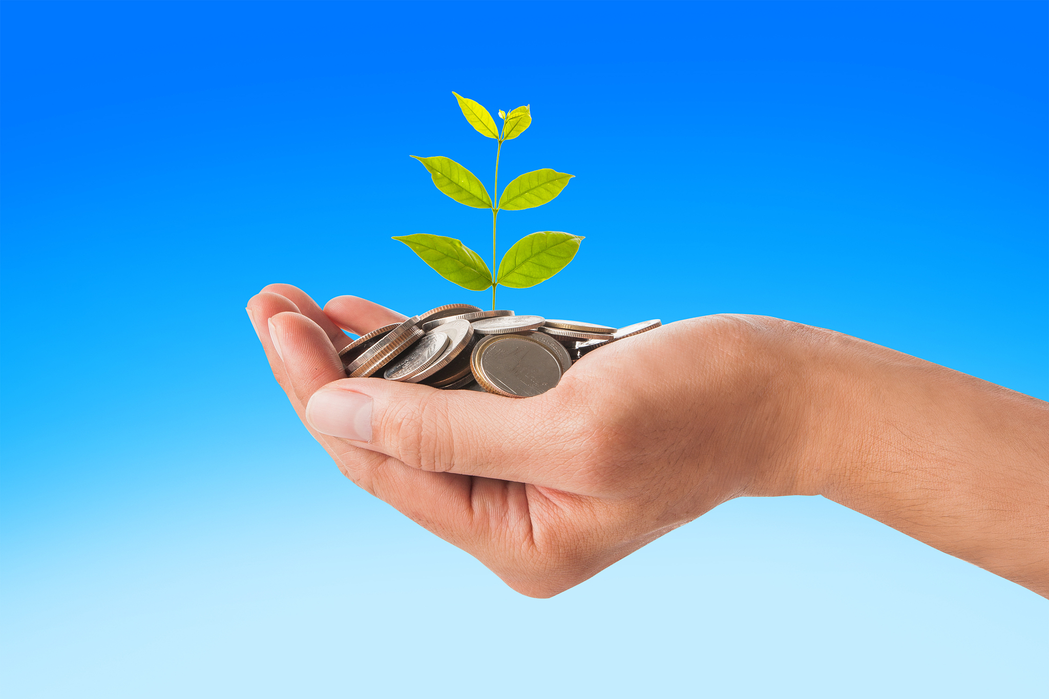 hand holding plant sprouting from a handful of coins