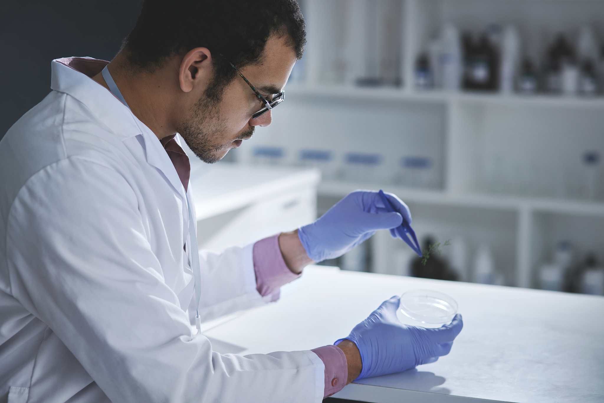 JOURNAL OF PLANT PHYSIOLOGY期刊详细介绍