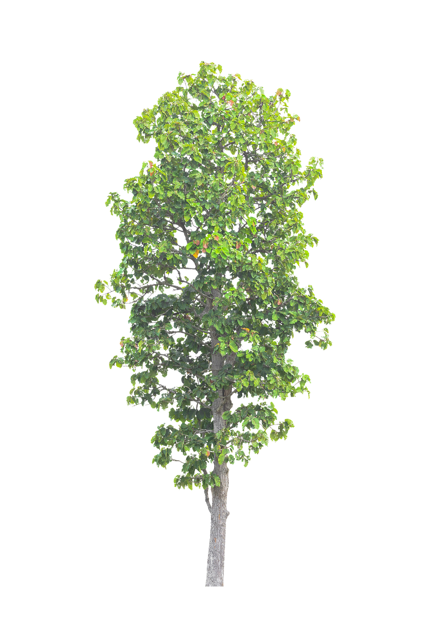 给你关键词帮我生成双标题格式：关键词相关词相关词要通顺字数不得低于8个中文字小辣椒手机是杂牌吗三星手机值得入手吗摩托罗拉手机能买吗金立手机还在生产吗诺基亚有新款手机吗索爱手机值得购买吗现在还有3g手机吗索爱手机是国产的吗华为手机哪一款最好折叠屏手机哪款最好荣耀手机建议买哪款国产手机哪个牌子好手机哪个牌子质量好华为5g手机有哪些三星手机哪个系列好华为手机哪款最好用国产手机有哪些品牌手机杀毒软件哪个好