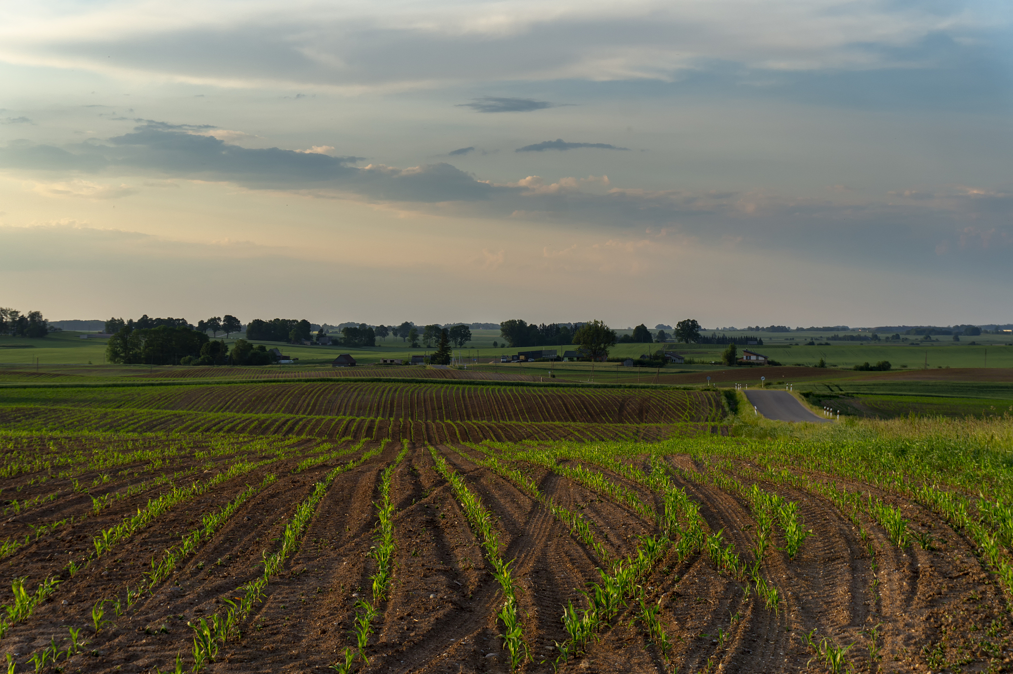 the significance of study the spring frost shiftting northward for agriculture