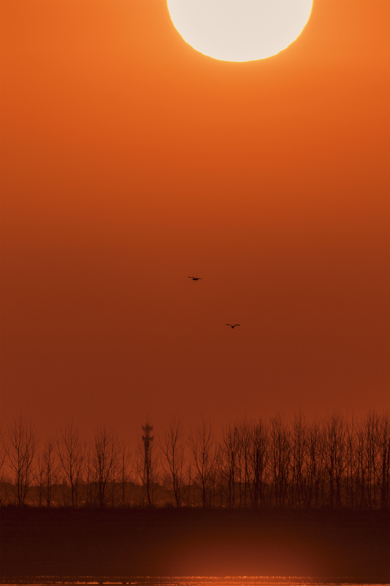 重生高中小说名字推荐：创意十足，引人入胜！