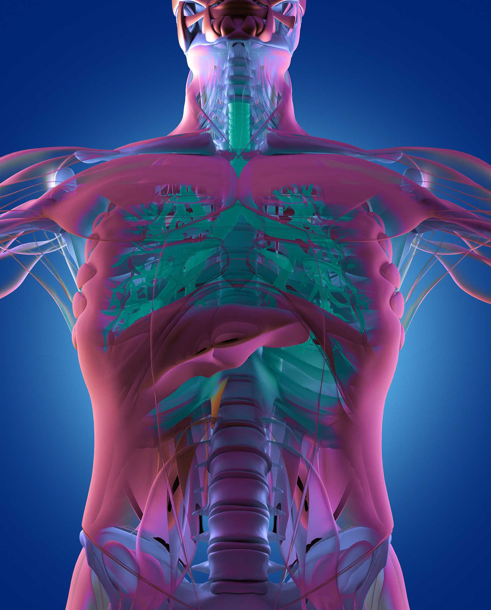 右上肺结节病理报告分析：微小浸润性腺癌，早期肺癌