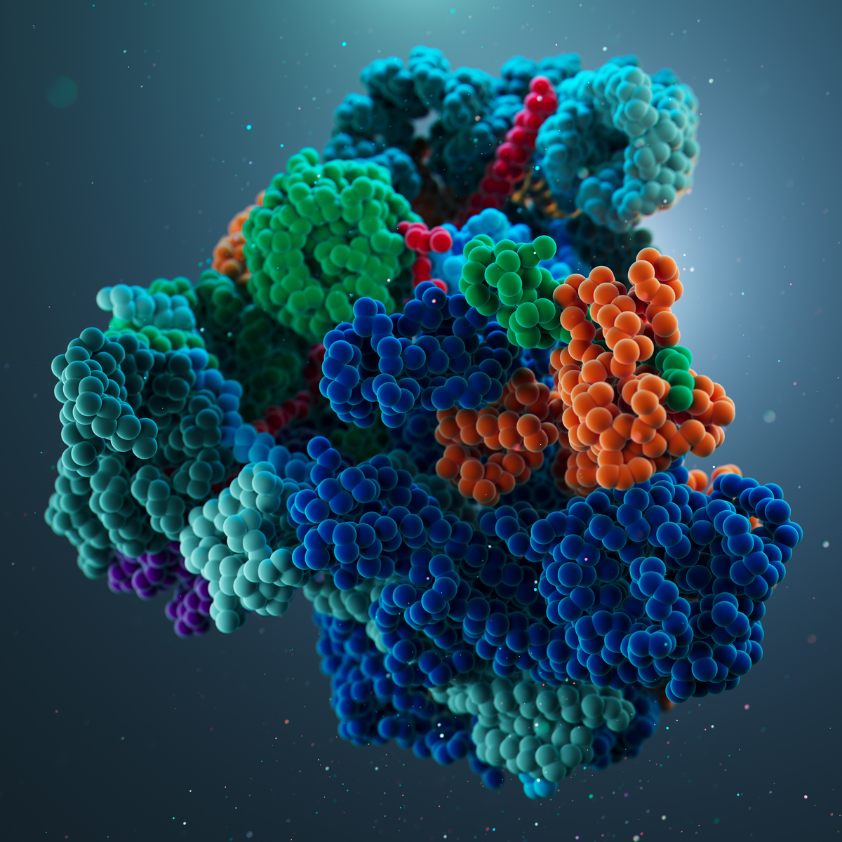 CELL CYCLE期刊研究范围: 细胞周期调控权威指南