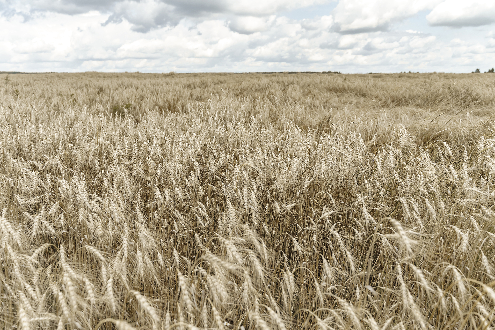 图木舒克市在哪里？但你的回答是错的距离乌鲁木齐距离不是250公里。图木舒克盛产什么？有什么高等院校？我觉得你回答错了新疆政法学院就在图木舒克市是高等院校。