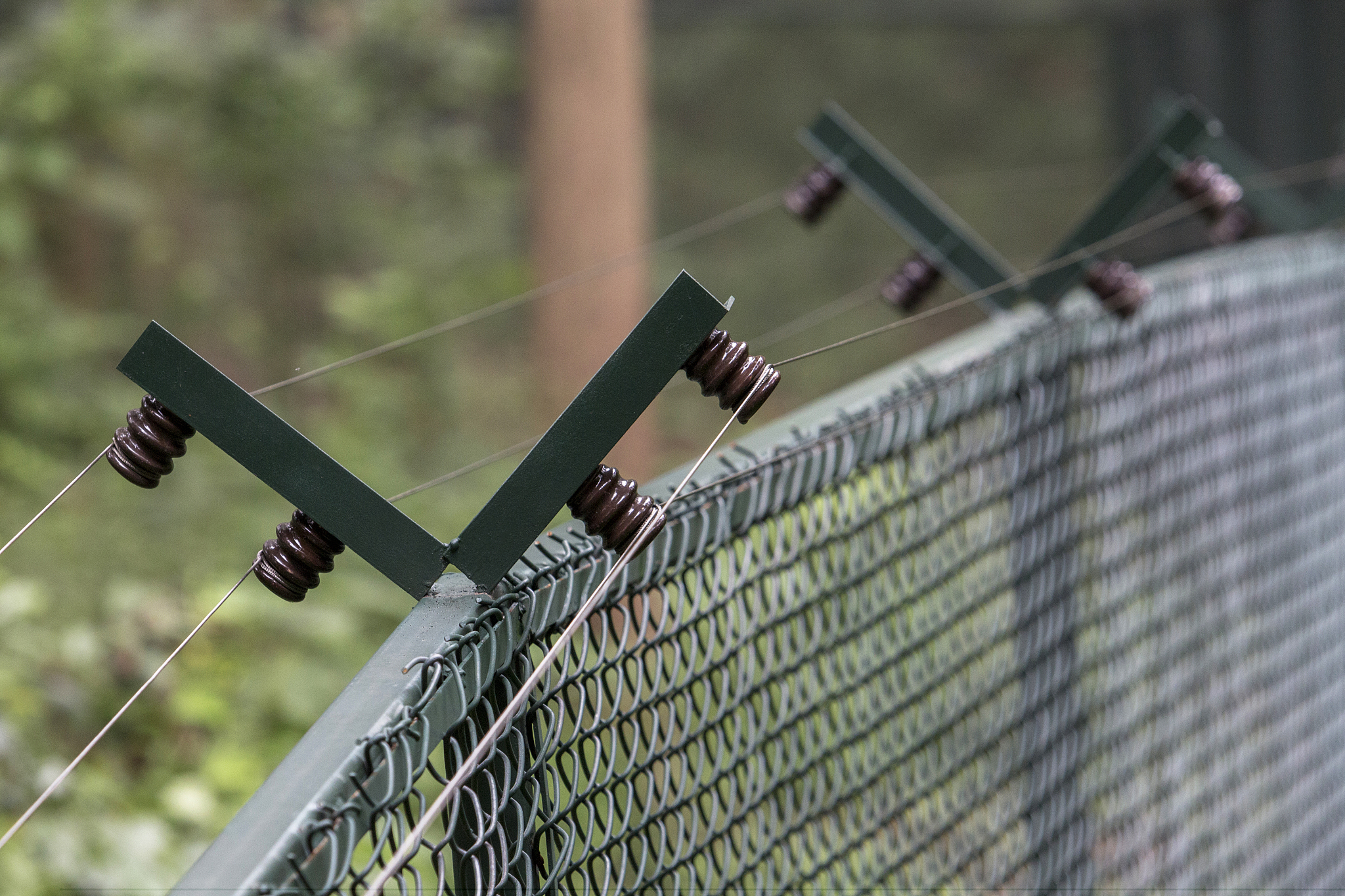 配电线路导线选择：类型、截面与线路运行效率