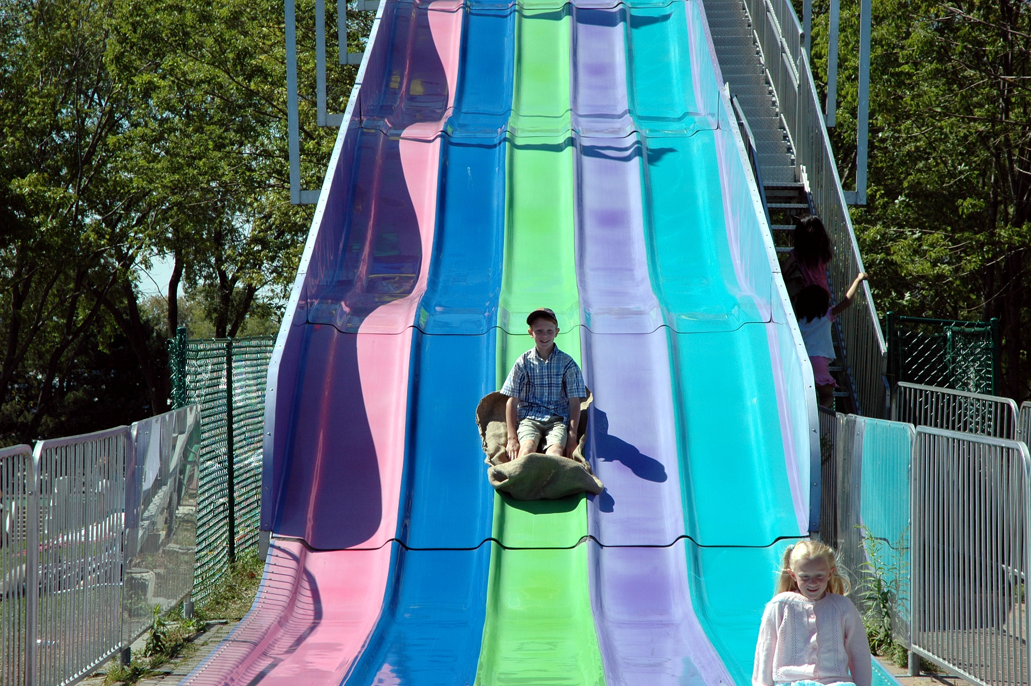 杭州动物园网红熊爆火！滑梯、跳跃萌翻游客