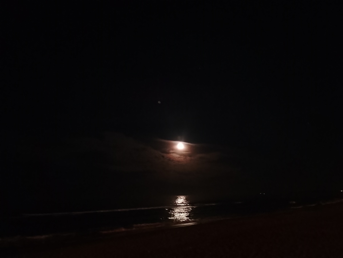 月色下，年轻人目送老婆婆回家，温暖画面令人动容