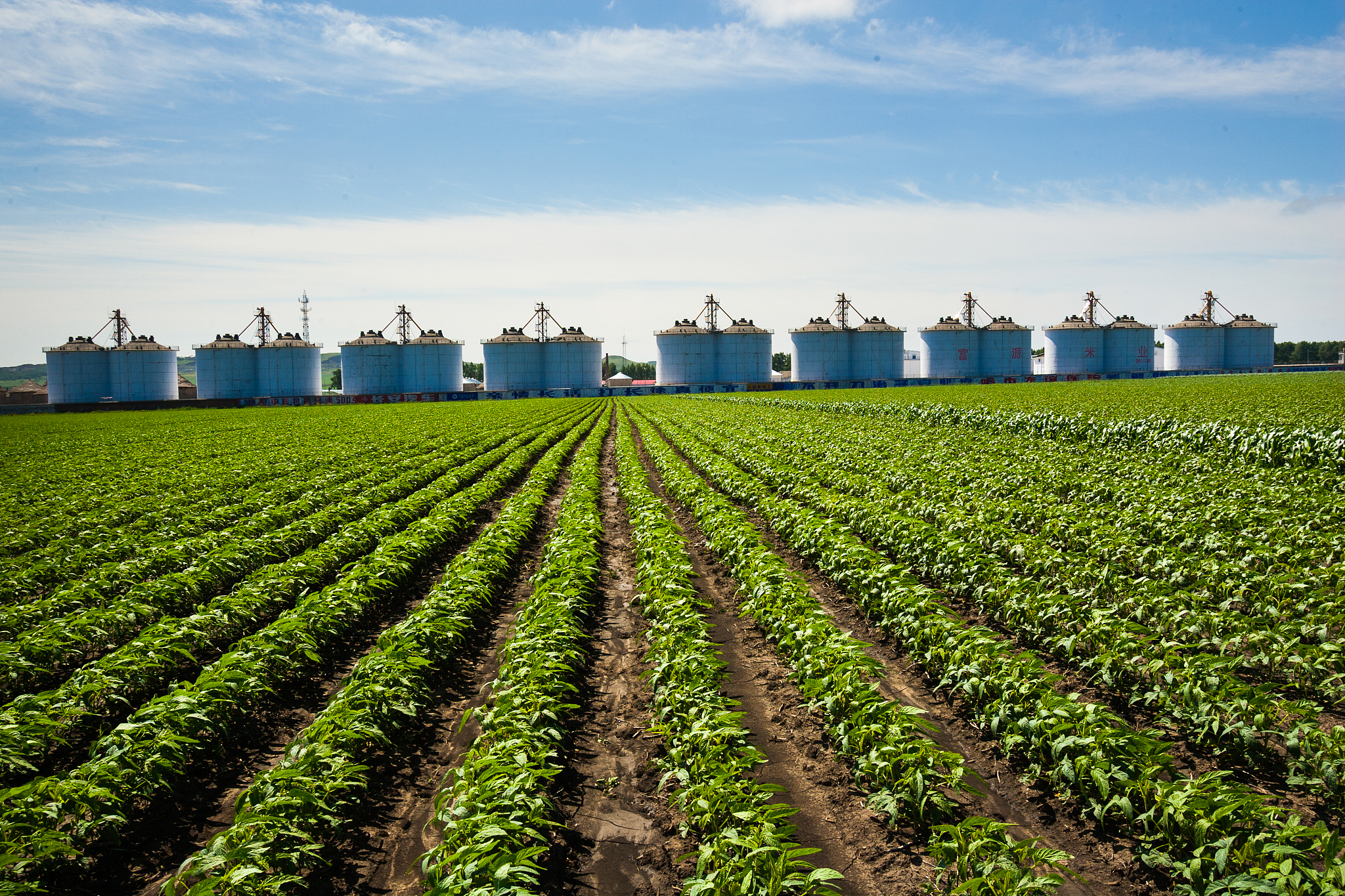 介绍目前INDUSTRIAL CROPS AND PRODUCTS期刊的现任主编、所在领域的地位、口碑、或者目标轻松的语气评价一下期刊好不好投字数 150-200？