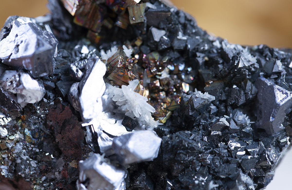 贵州地质学校专业设置：2022年招生专业一览