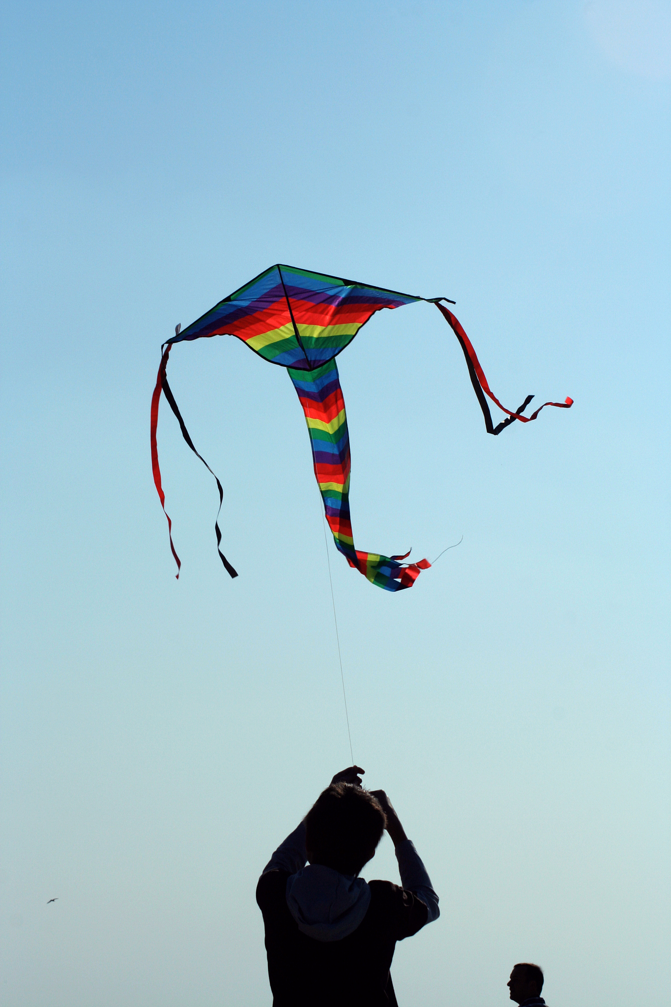 flying a kite