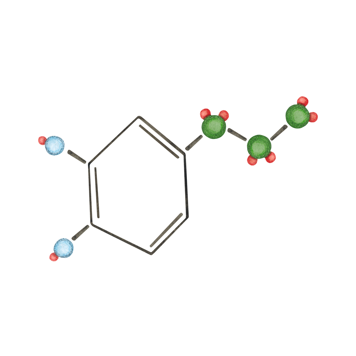 四川省盐业学校2019年生物化工专业招生简介