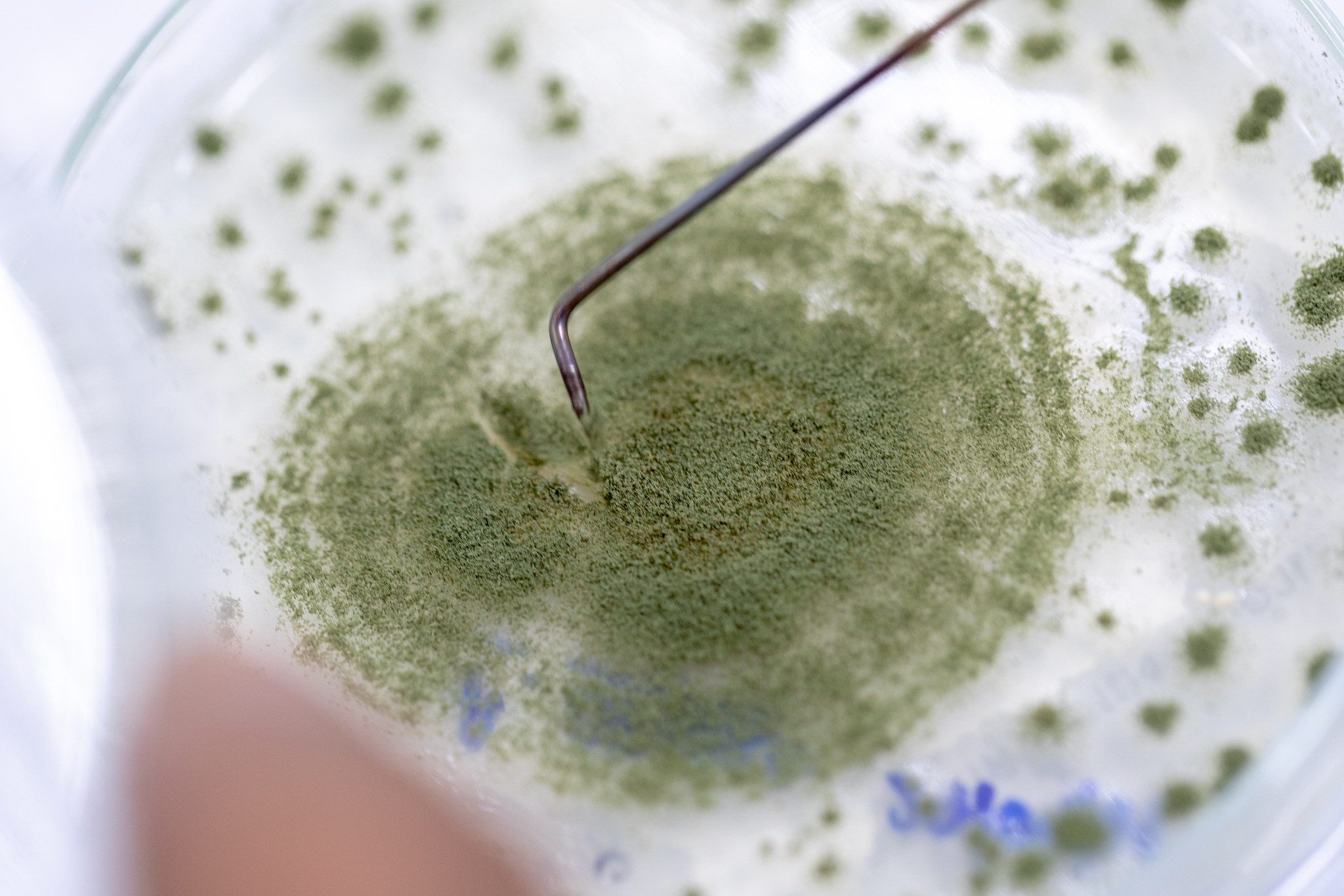 大豆水分和温度条件下霉菌易生长：ERH超过70%