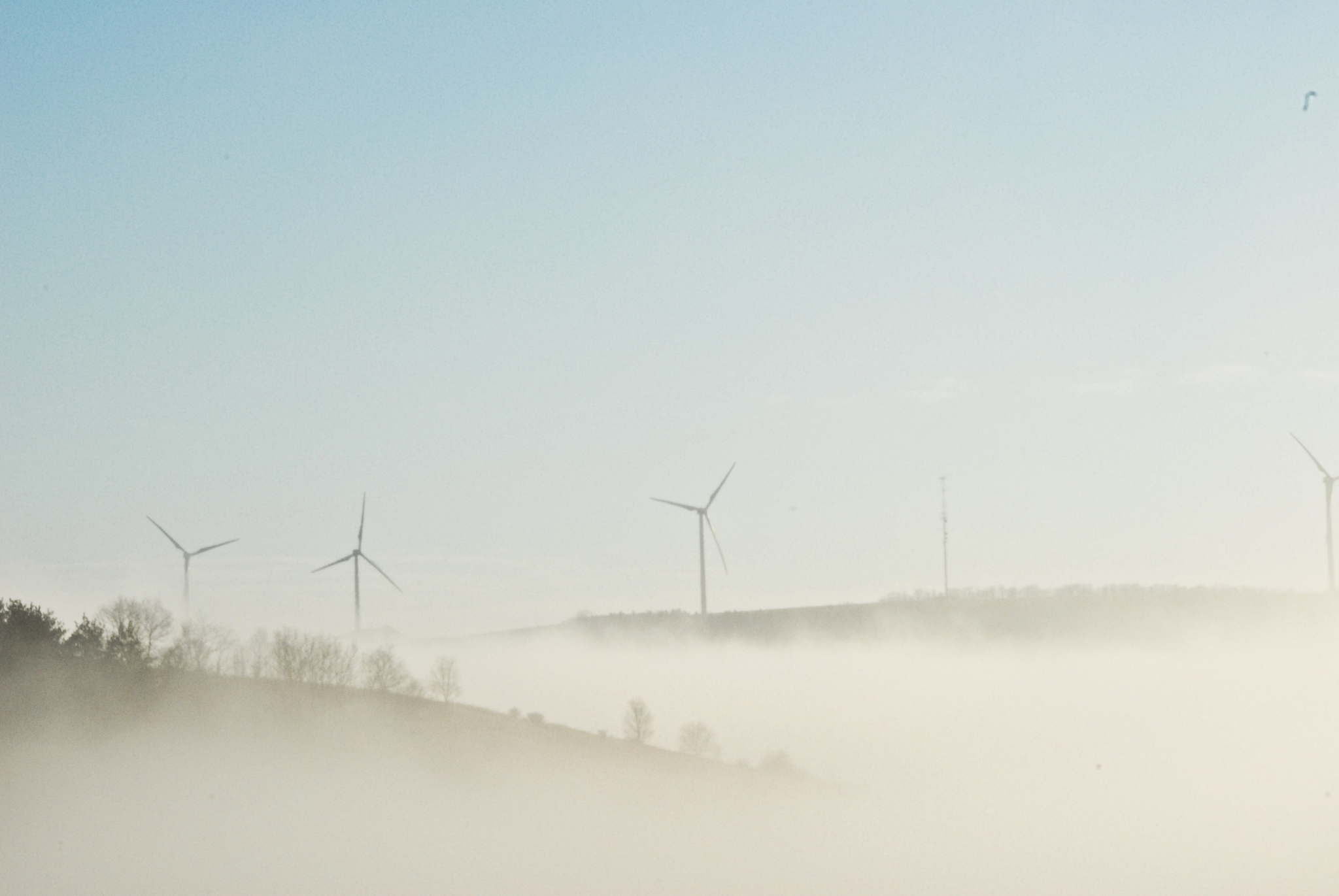 伊春职业学院煤炭深加工与利用建龙西钢订单培养专专业专业到底行不行设有哪些课程