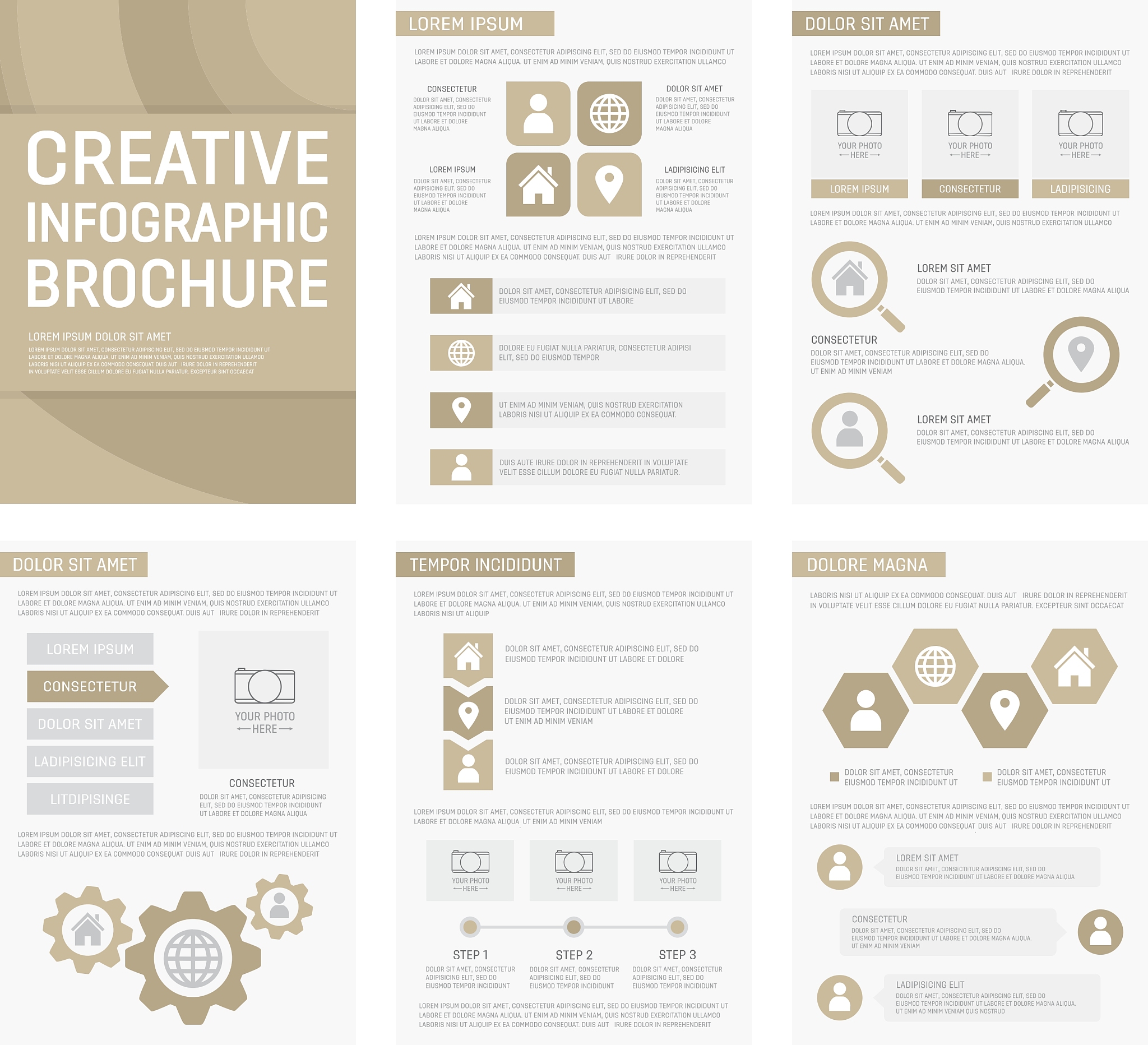 排版专员入职以来的工作总结与自我评价