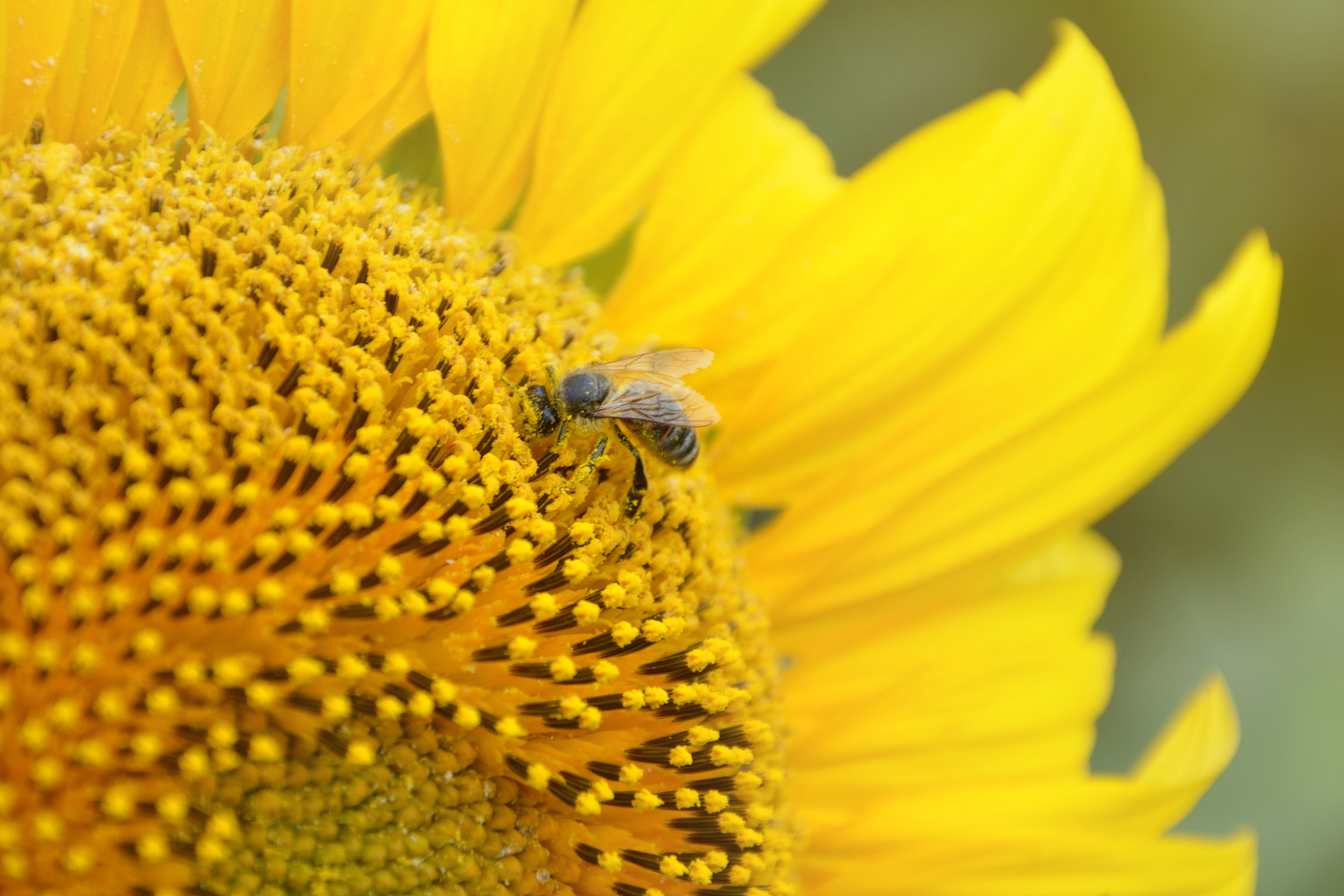 自贡三星职业技术学校设施农业生产技术专业课程设置有哪些