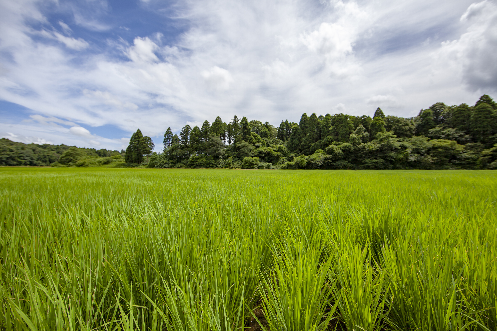 甘肃园林技术专业中专中职学校推荐 - 寻找优质的职业教育