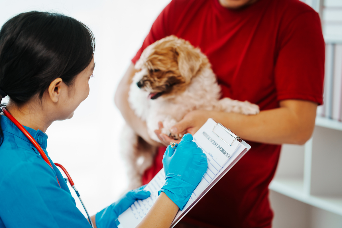 吉林学动物医学专业怎么样 好不好就业