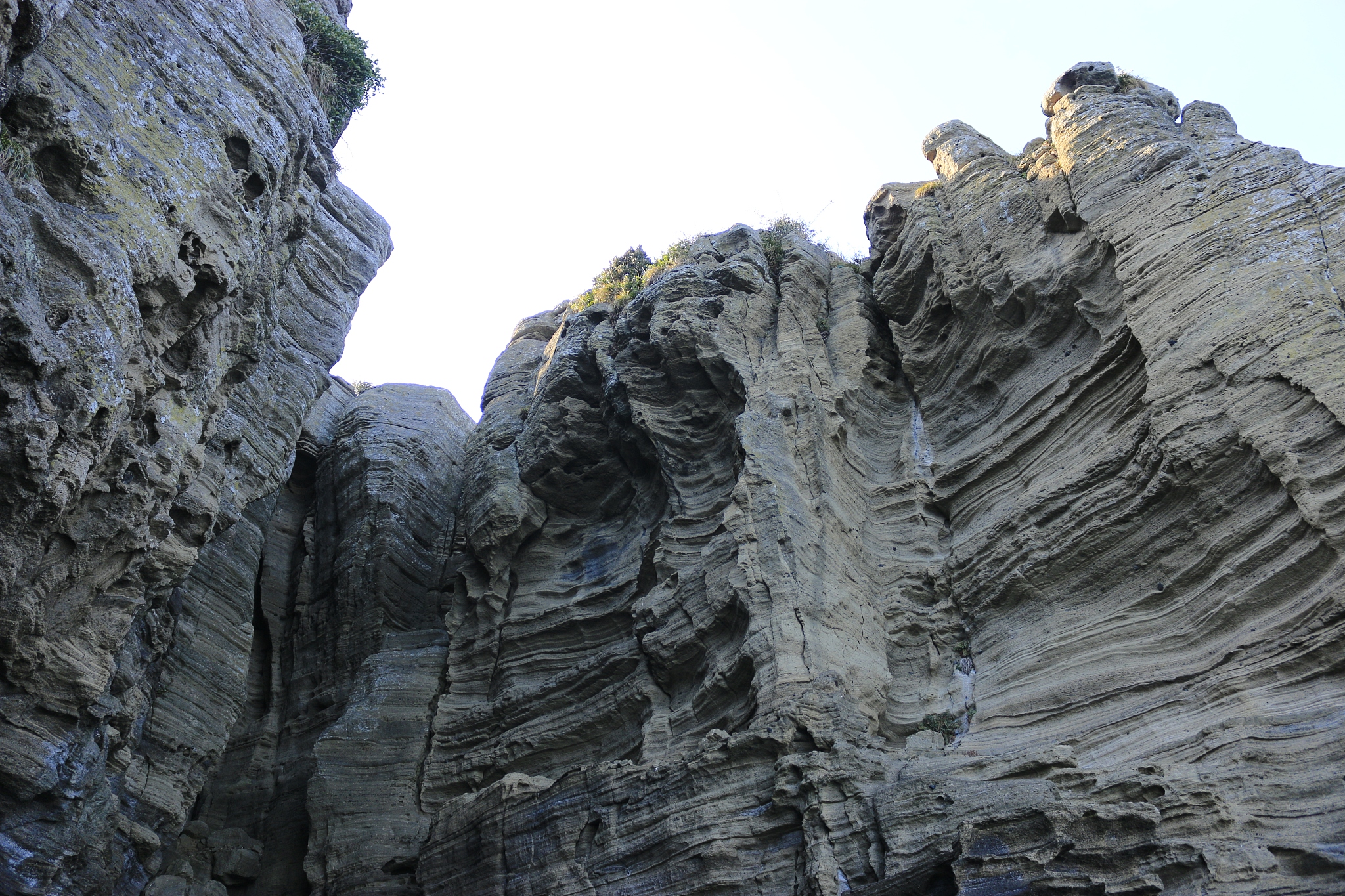 dragon head coast, coast, sea, sediment, volcanic
