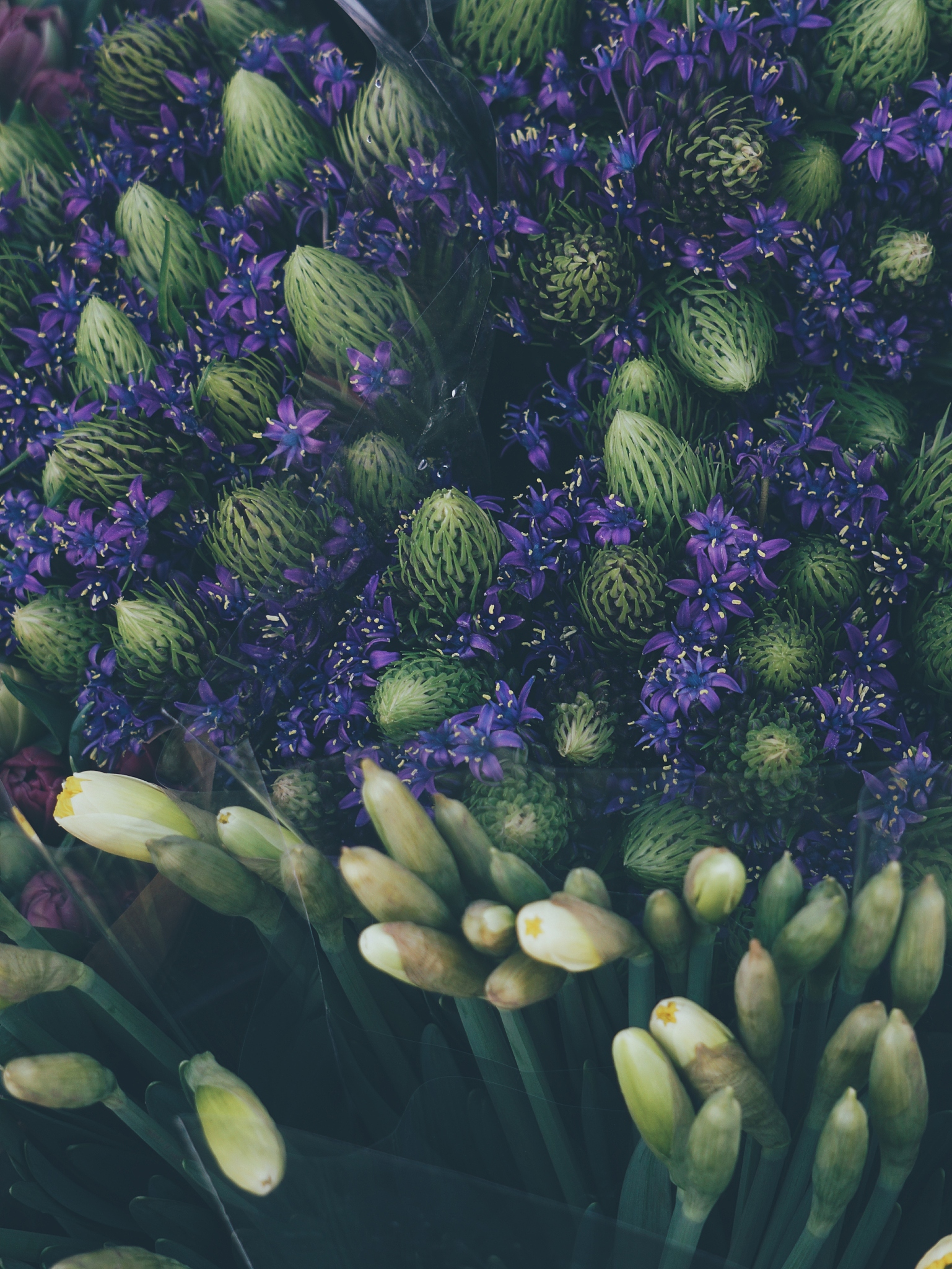 full frame shot of purple flowering plant