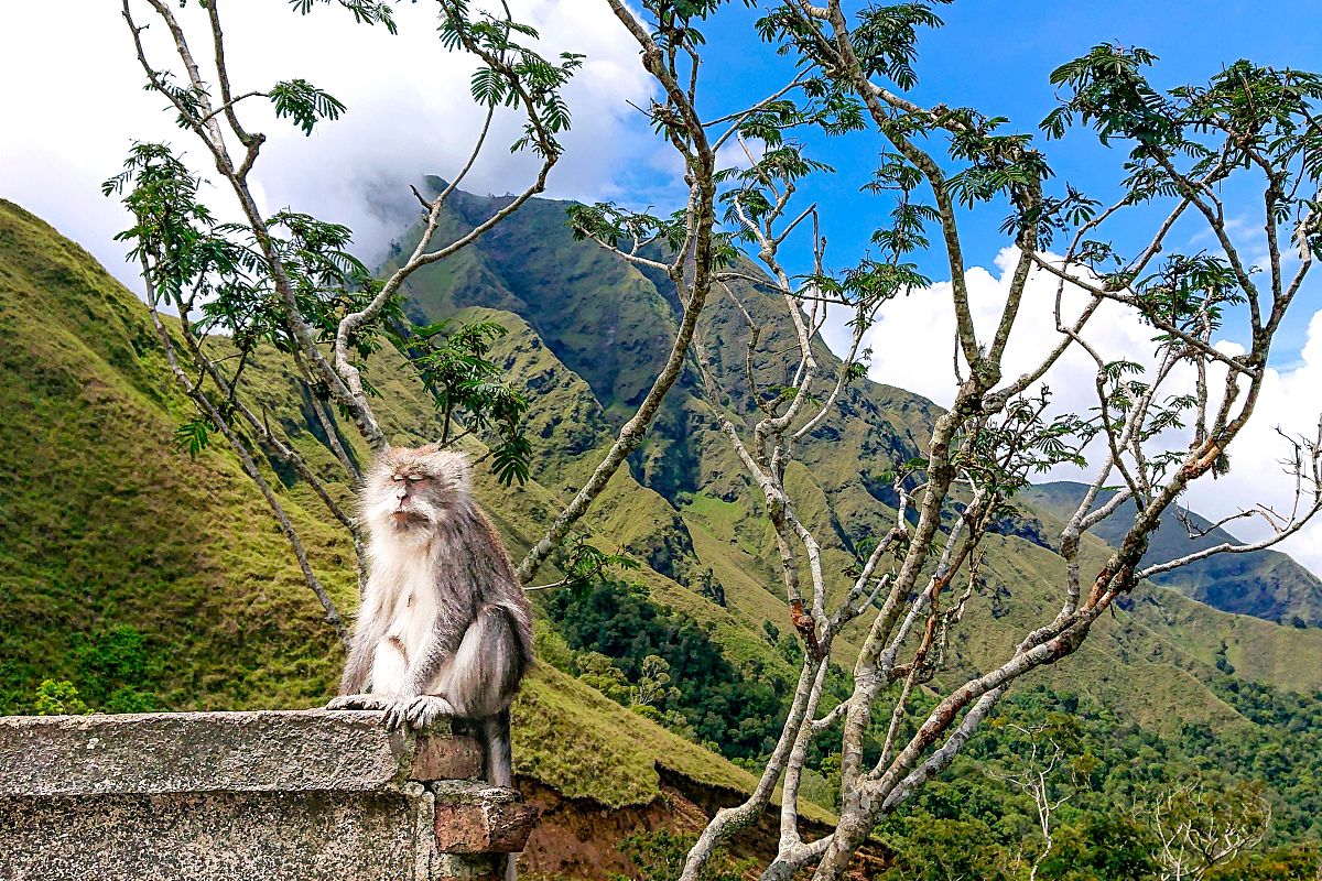如何过上充实而有意义的平淡生活