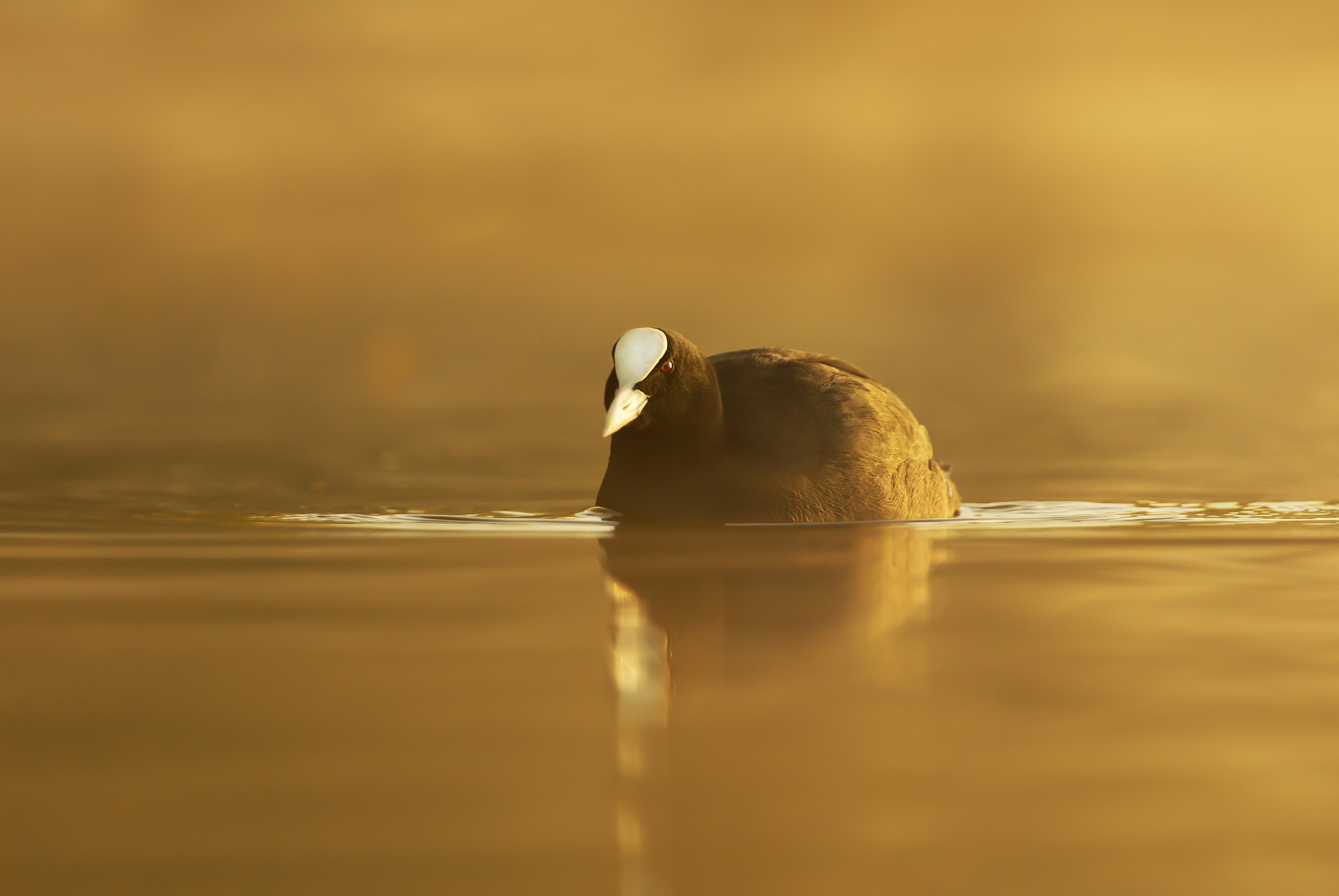 湖南环境生物职业技术学院物流管理专业怎么样？就业前景、课程设置及发展趋势