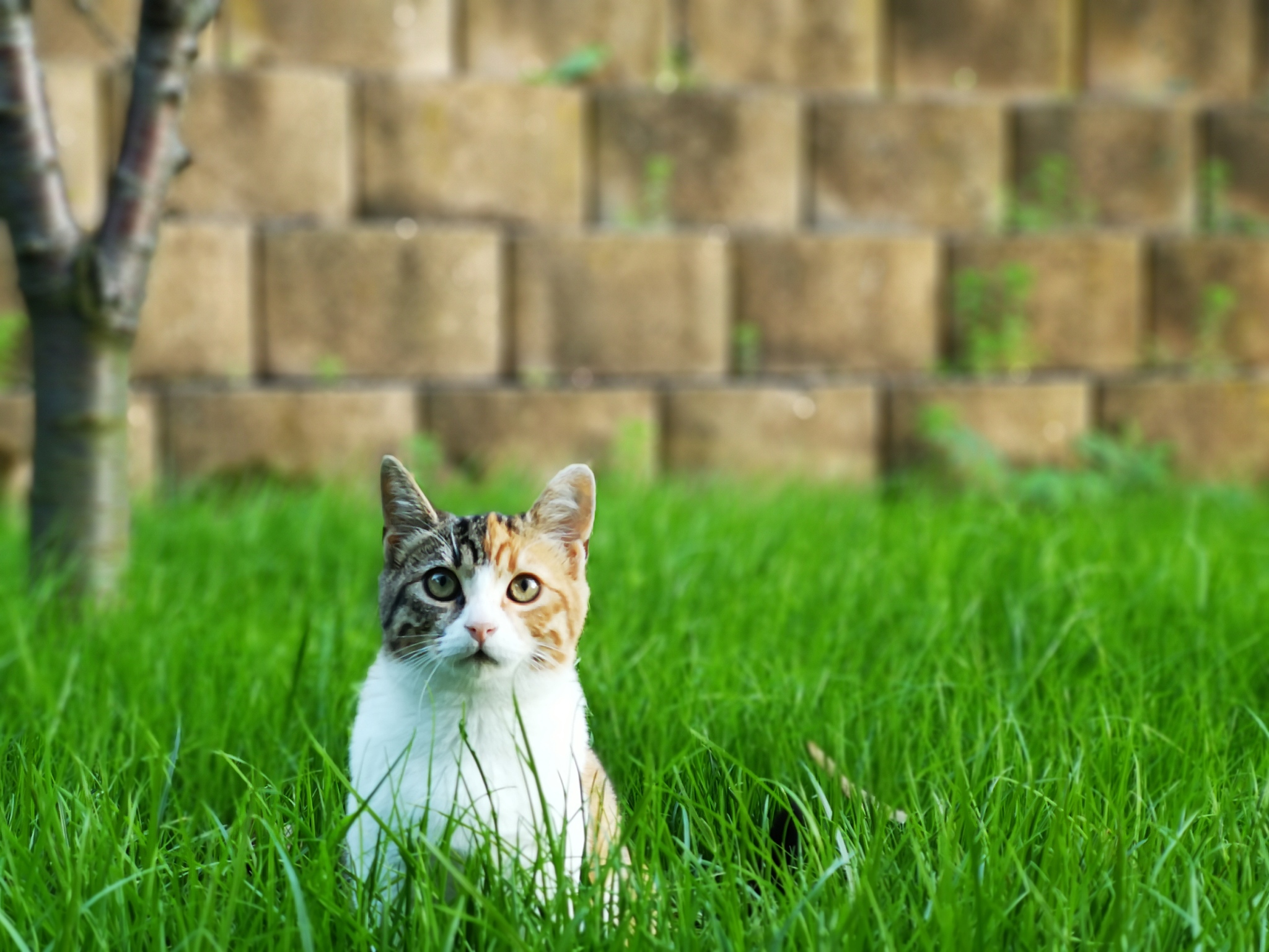 httpsmediadiscordappnetattachments108726303488553783210948923084885360845ba04ab620f1263b2b471fc1b4d78bajpgwidth=1079&height=1079 这张图再看下