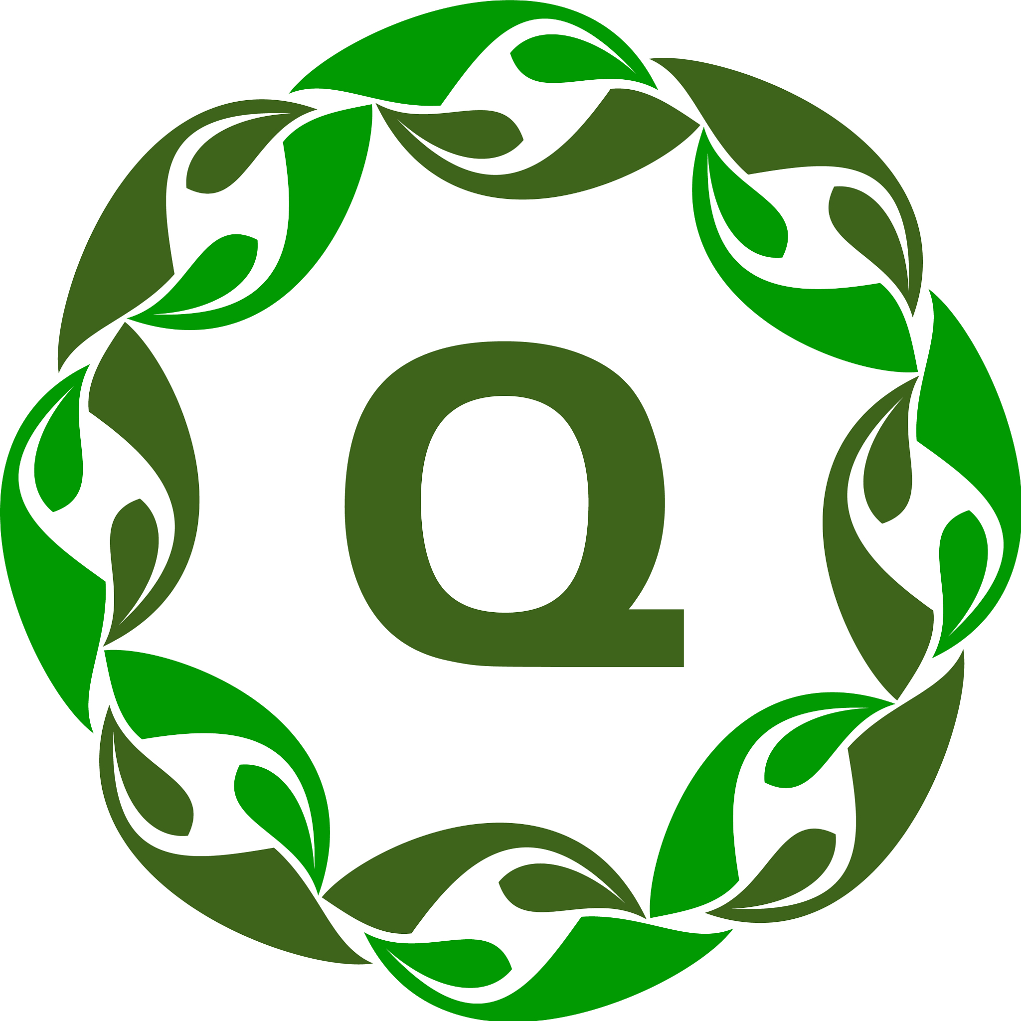green project solution center initial q
