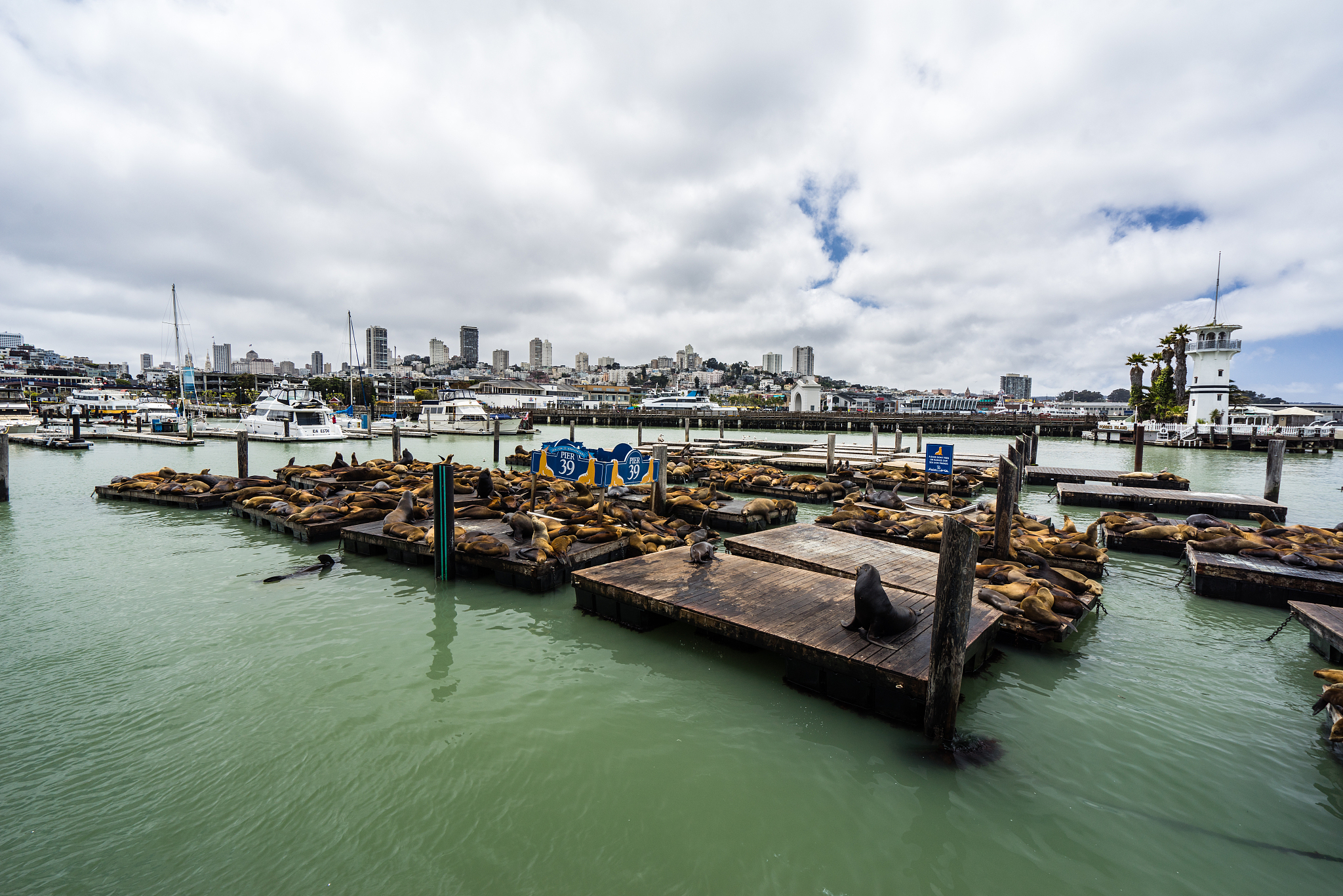 pier 39 in san francisco