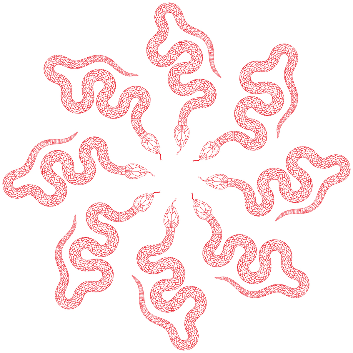 NK能组成哪些单词？完整列表！