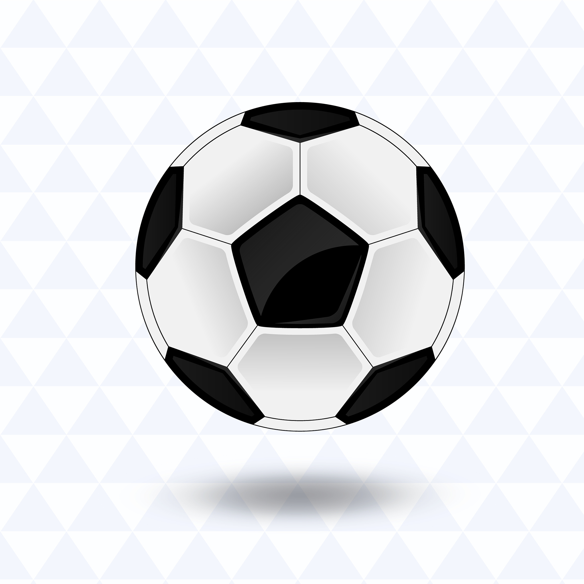a soccer ball