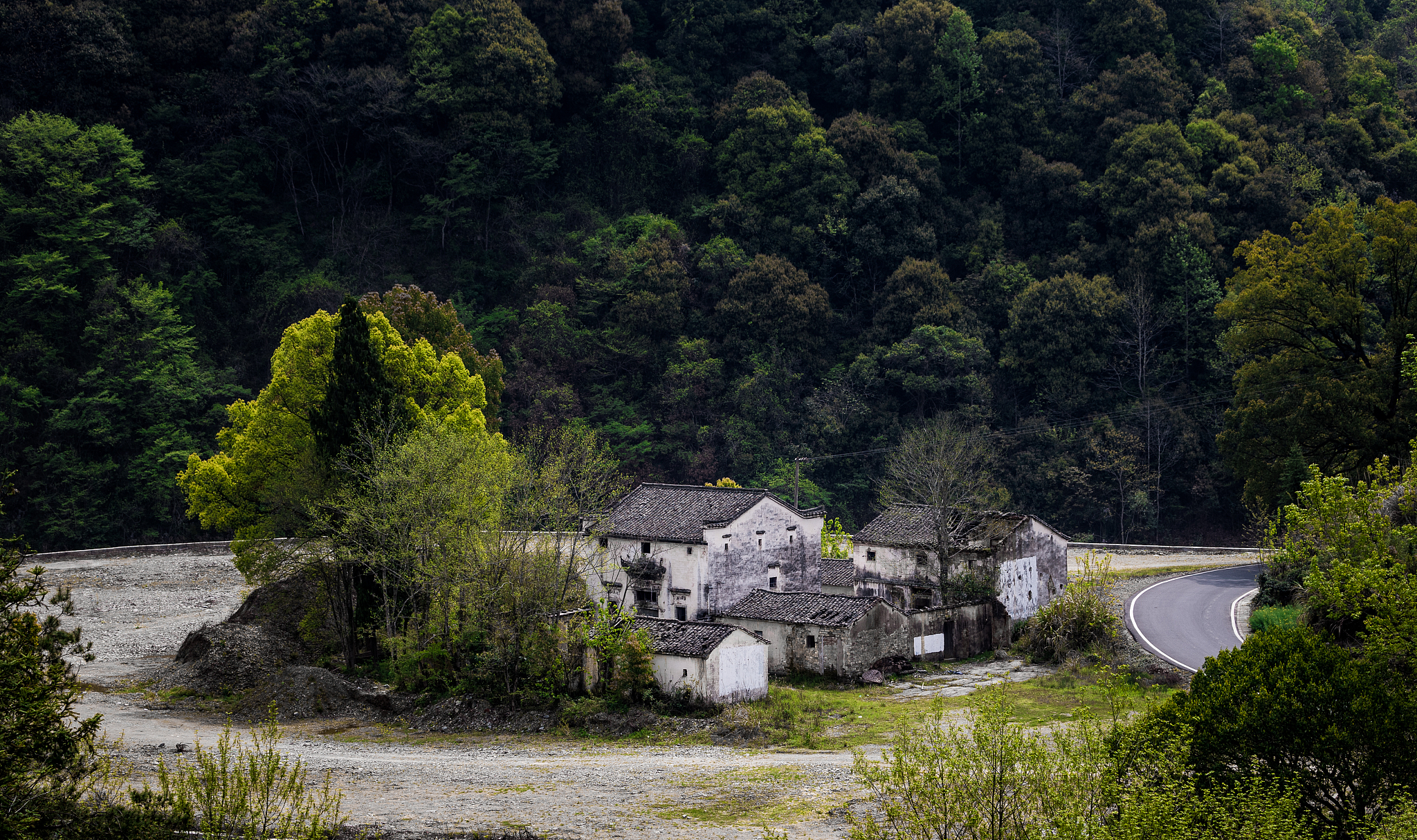 安徽旅游职业学院商务英语专业怎么样？就业前景及优势分析