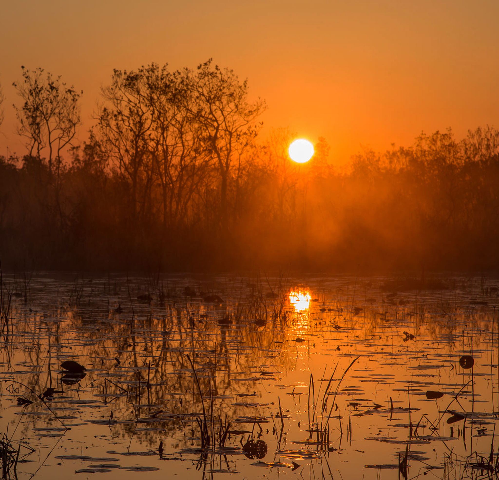 落霞与孤鹜齐飞秋水共长天一色。写3首跟上面两句诗类似的诗。