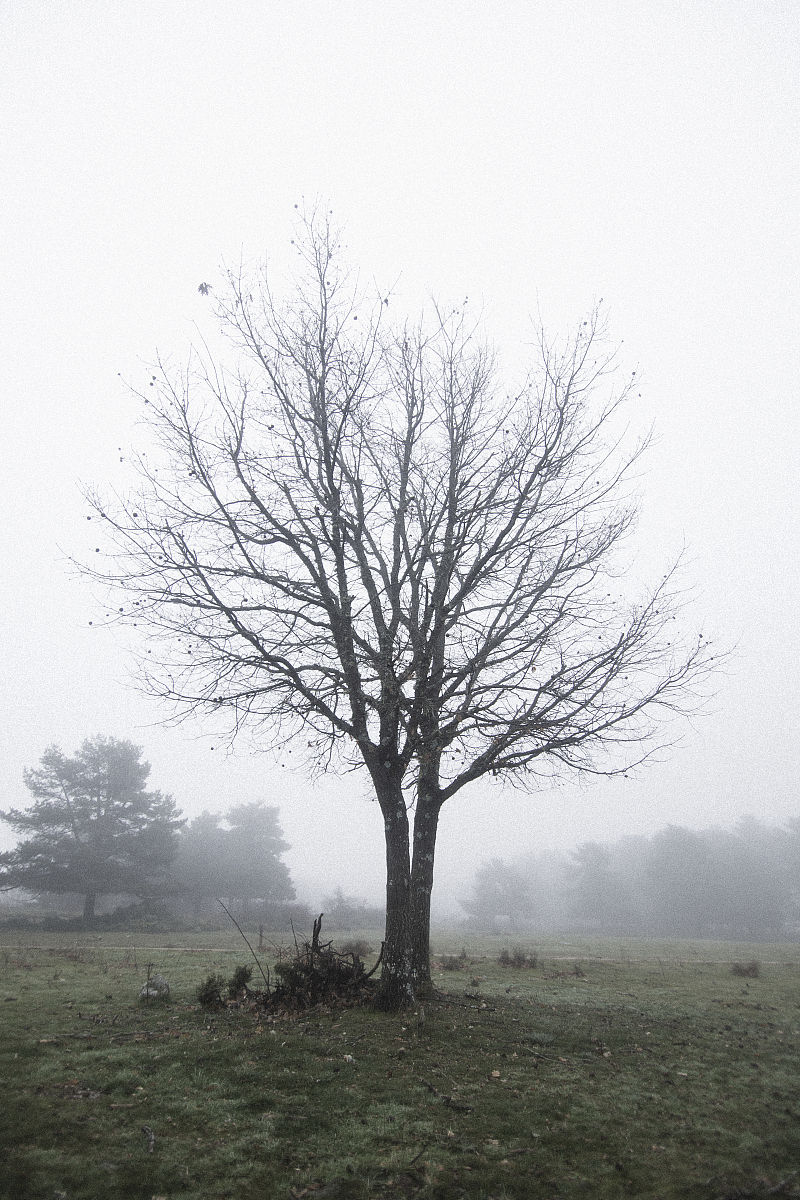 生成一段 30句的伤心文案