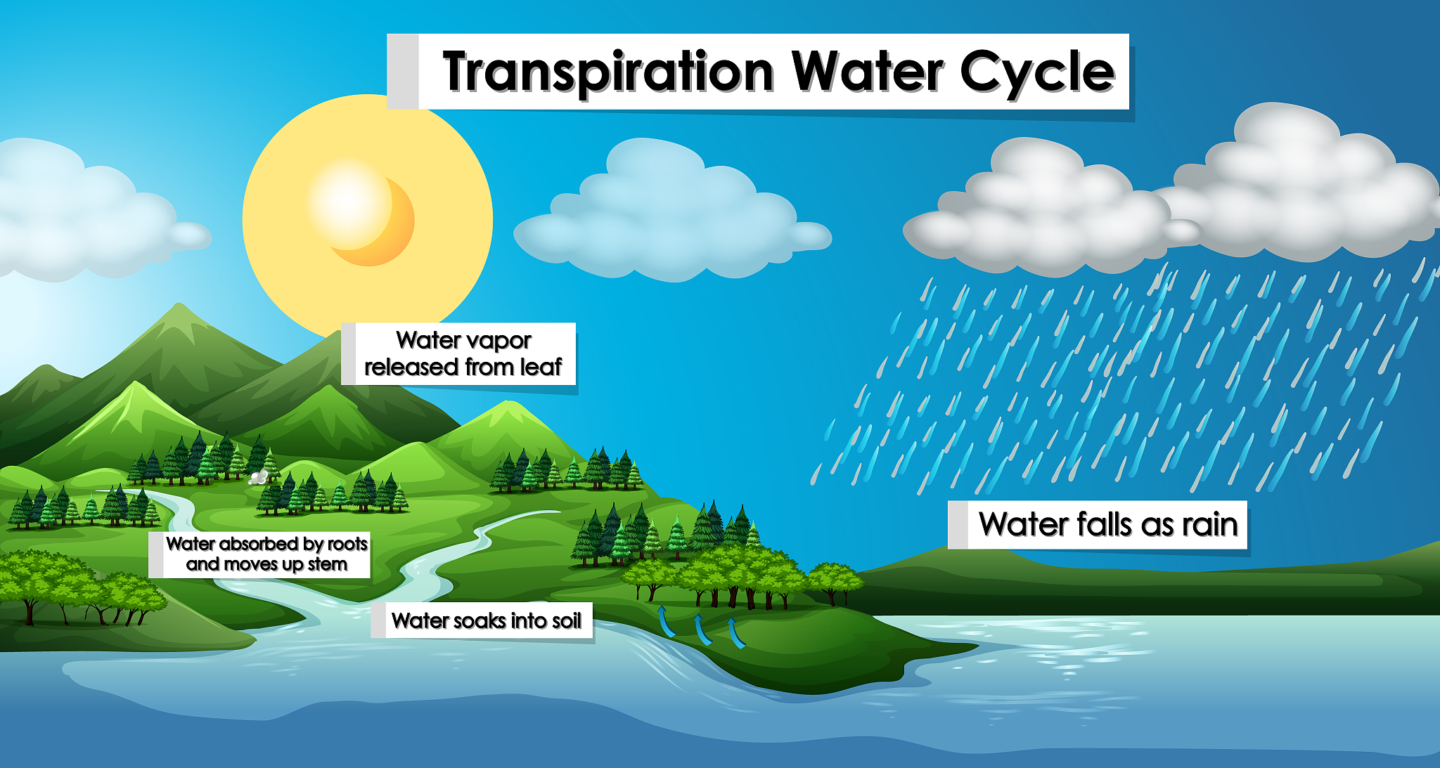 河海：地球重要的水资源和水循环系统