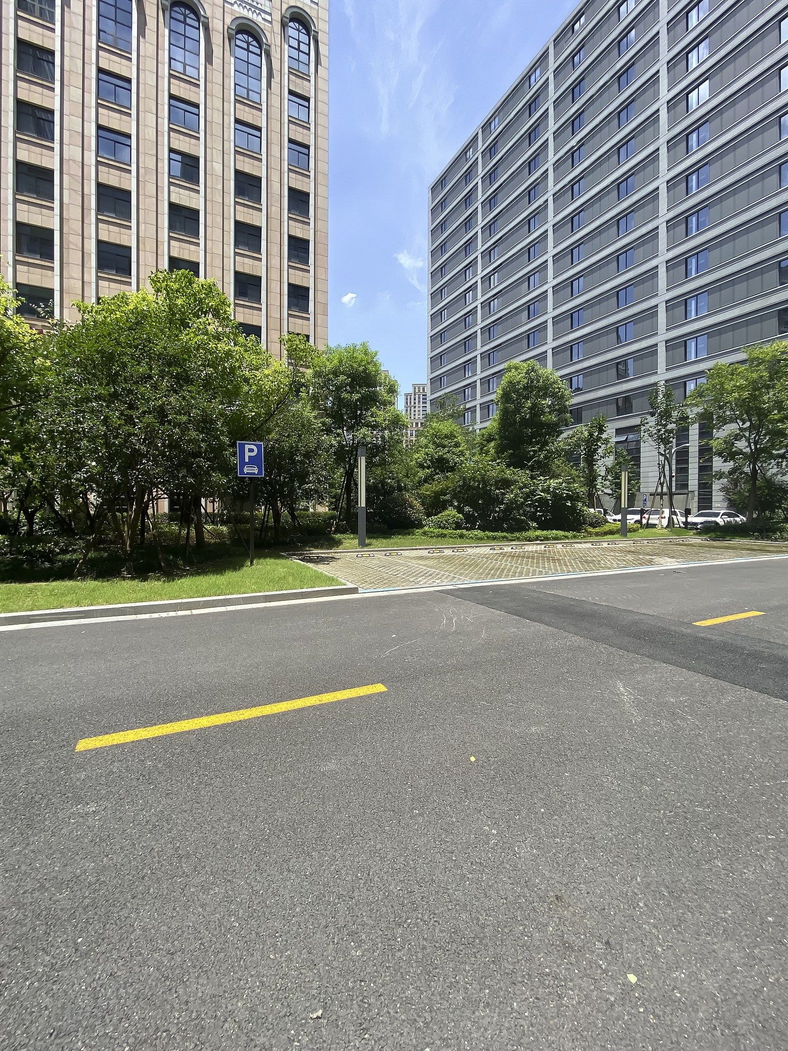 写一篇关于港务区绿地二期住宅小区混凝土道路施工项目简介。