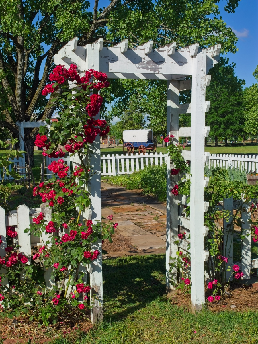 花开满园的花园露台 有个凉亭