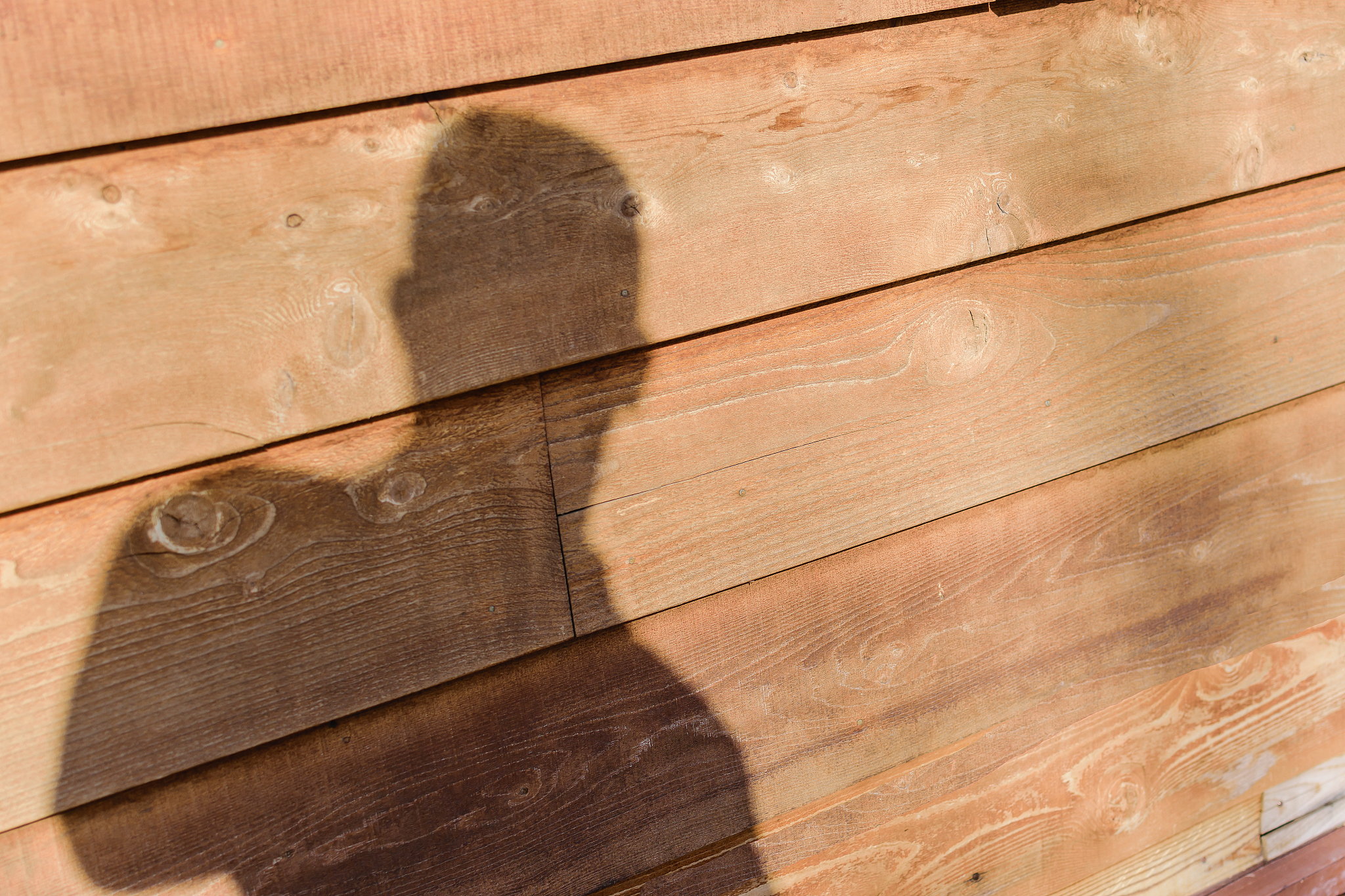 请翻译我们的以上推测与观察到的垫木上的划痕是吻合的