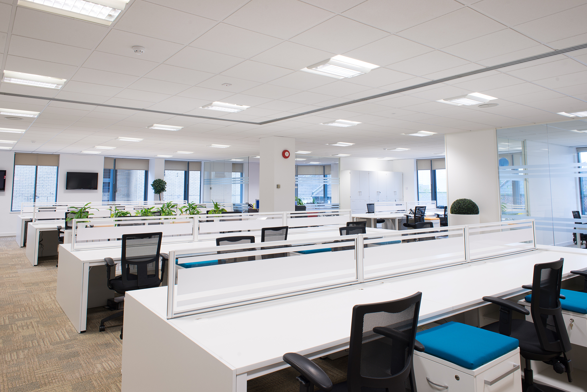 new empty office