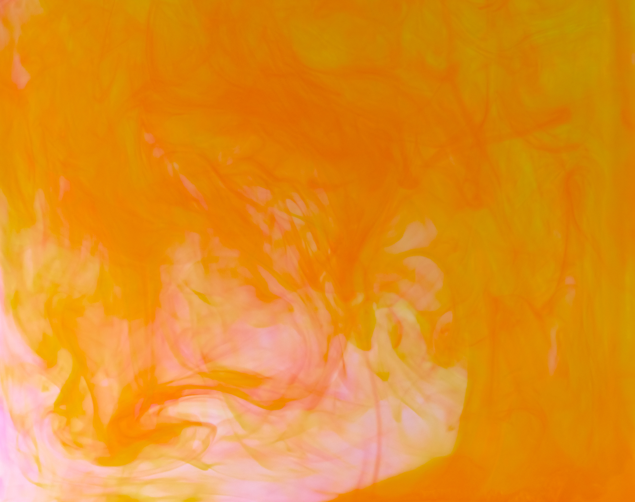 云南轻工业学校2022年招生简章 - 培养轻工业领域人才的学府