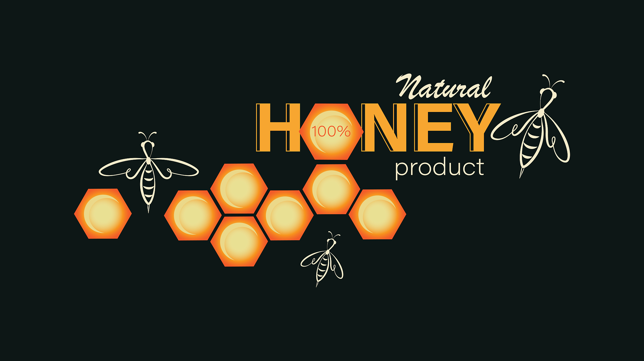 三年级做的昆虫名片