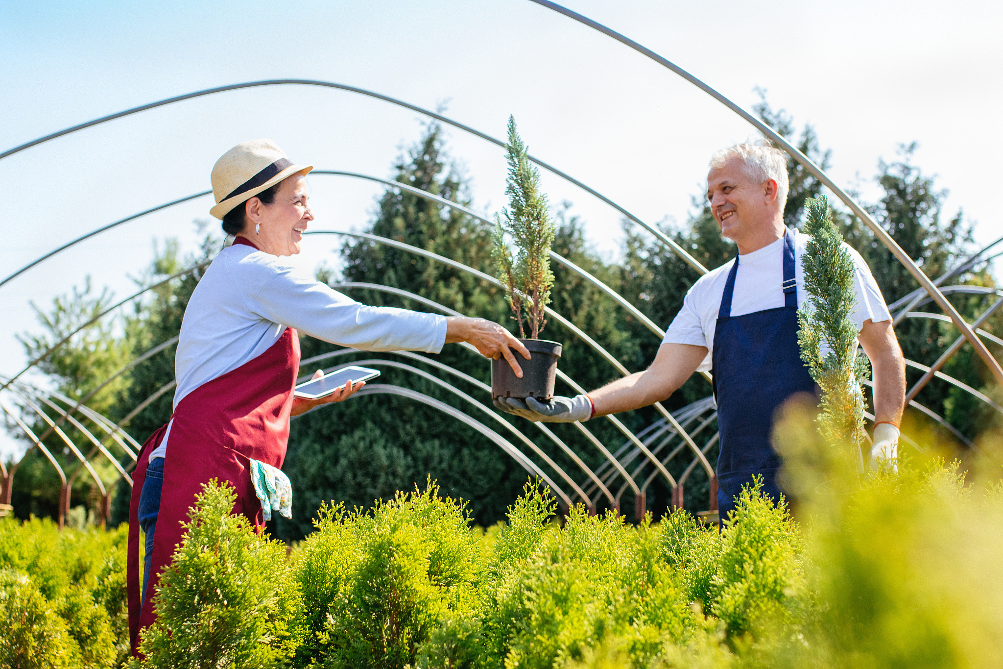 曲靖农业专科学校2019年五年制招生计划 | 农业领域人才培养基地