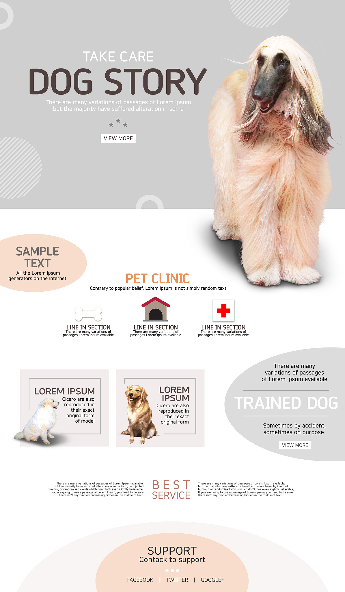 宠物电商平台品牌建设困境：缺乏个性和有效传播