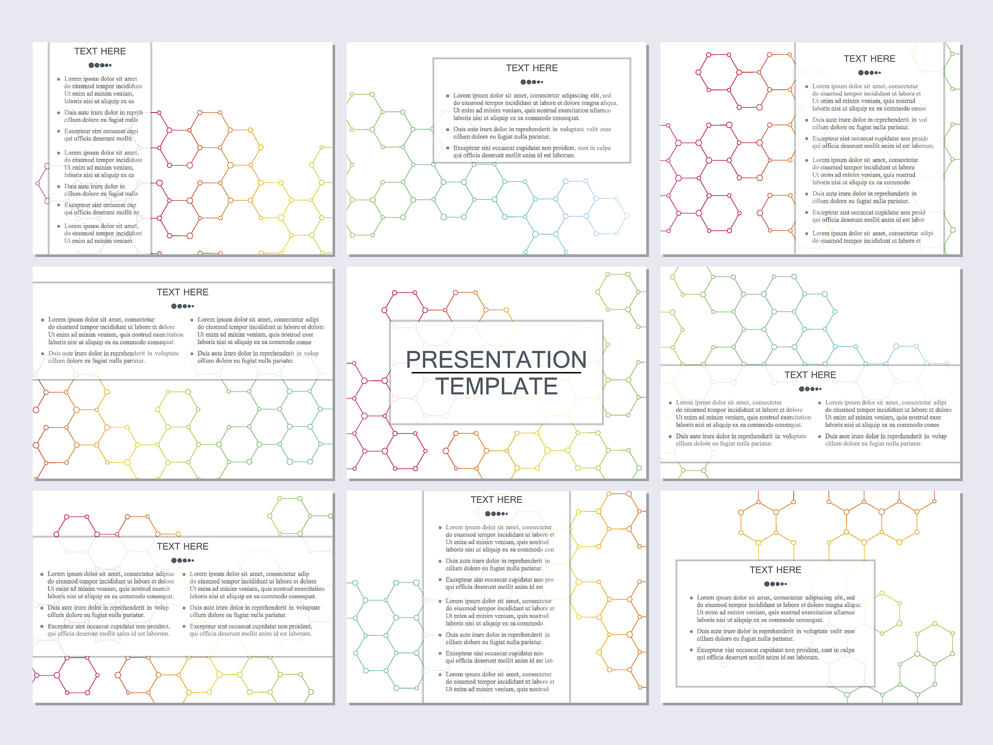 project completion report 和Project report的区别？